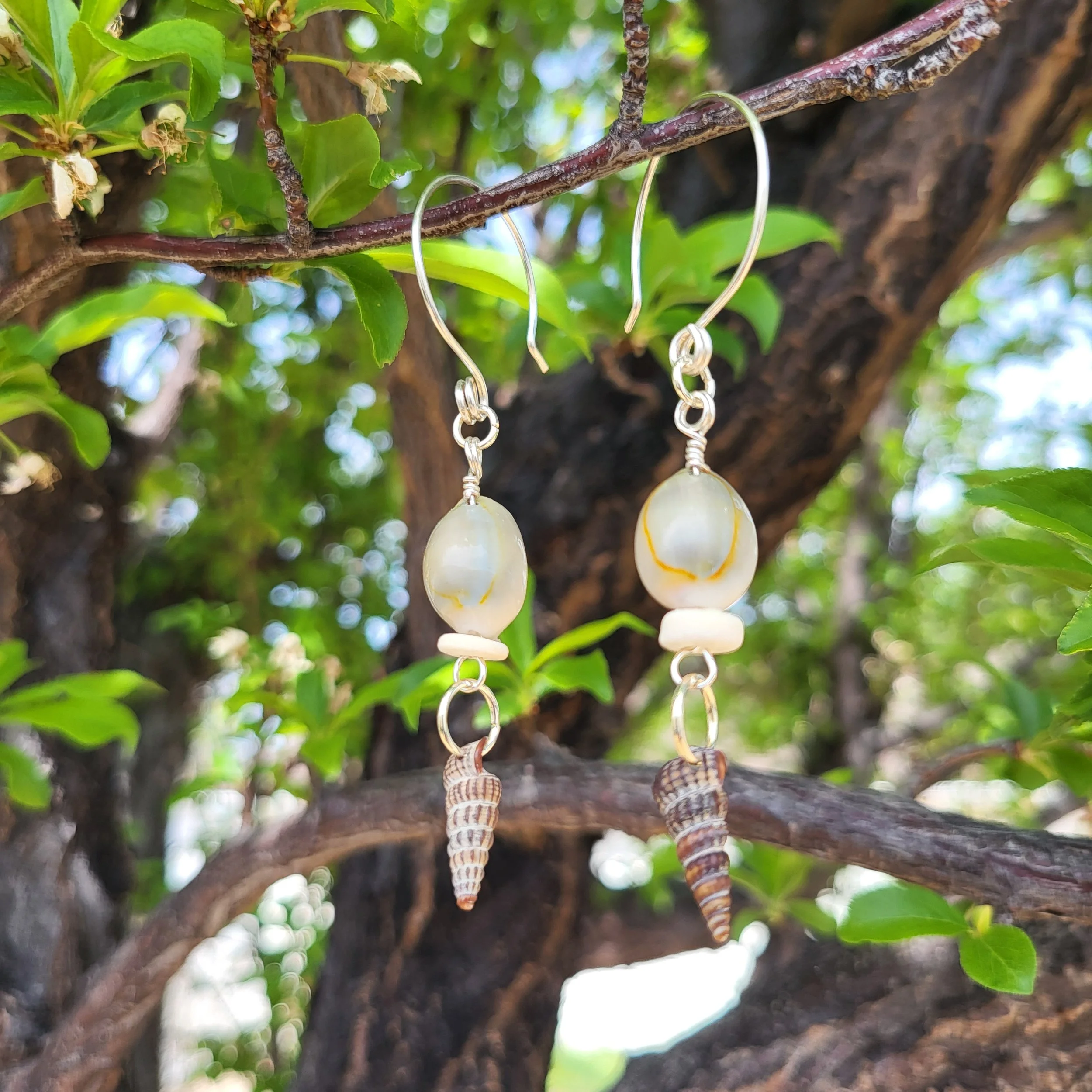 dbl shell-outside.jpg