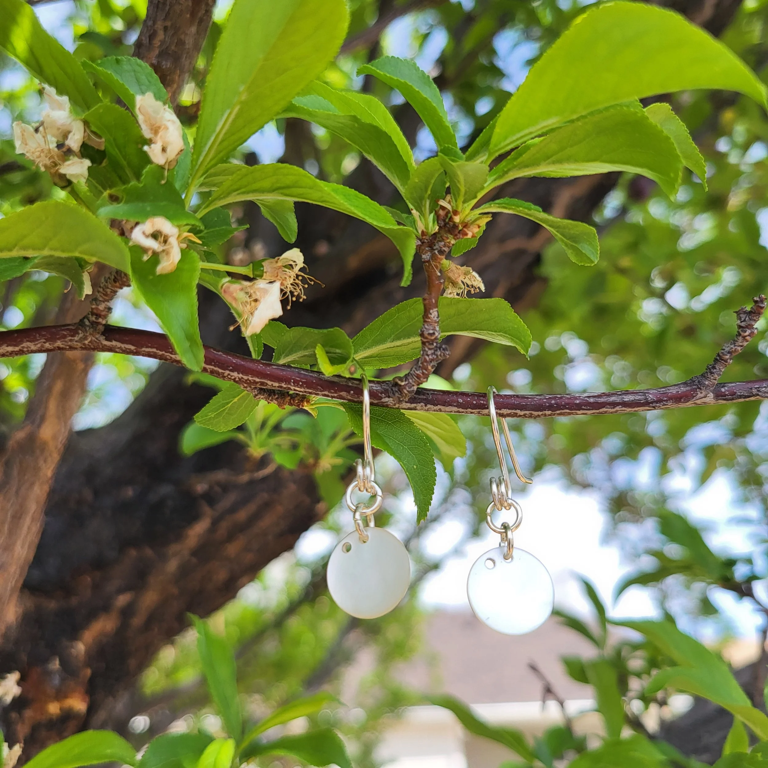 single disk-outside.jpg