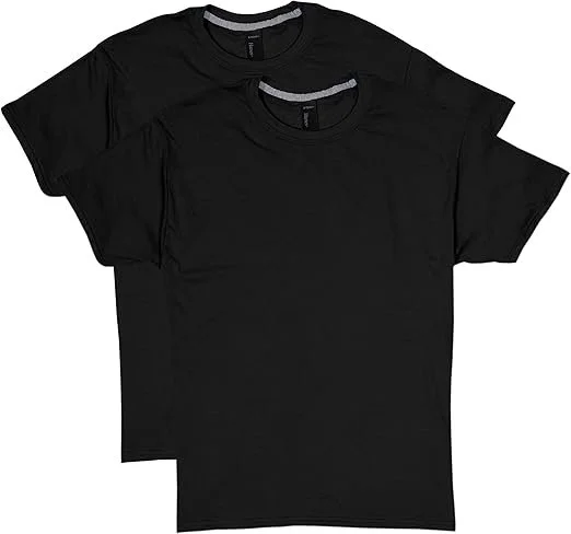 Hanes X-Temp T-Shirt 2 Pack 2X