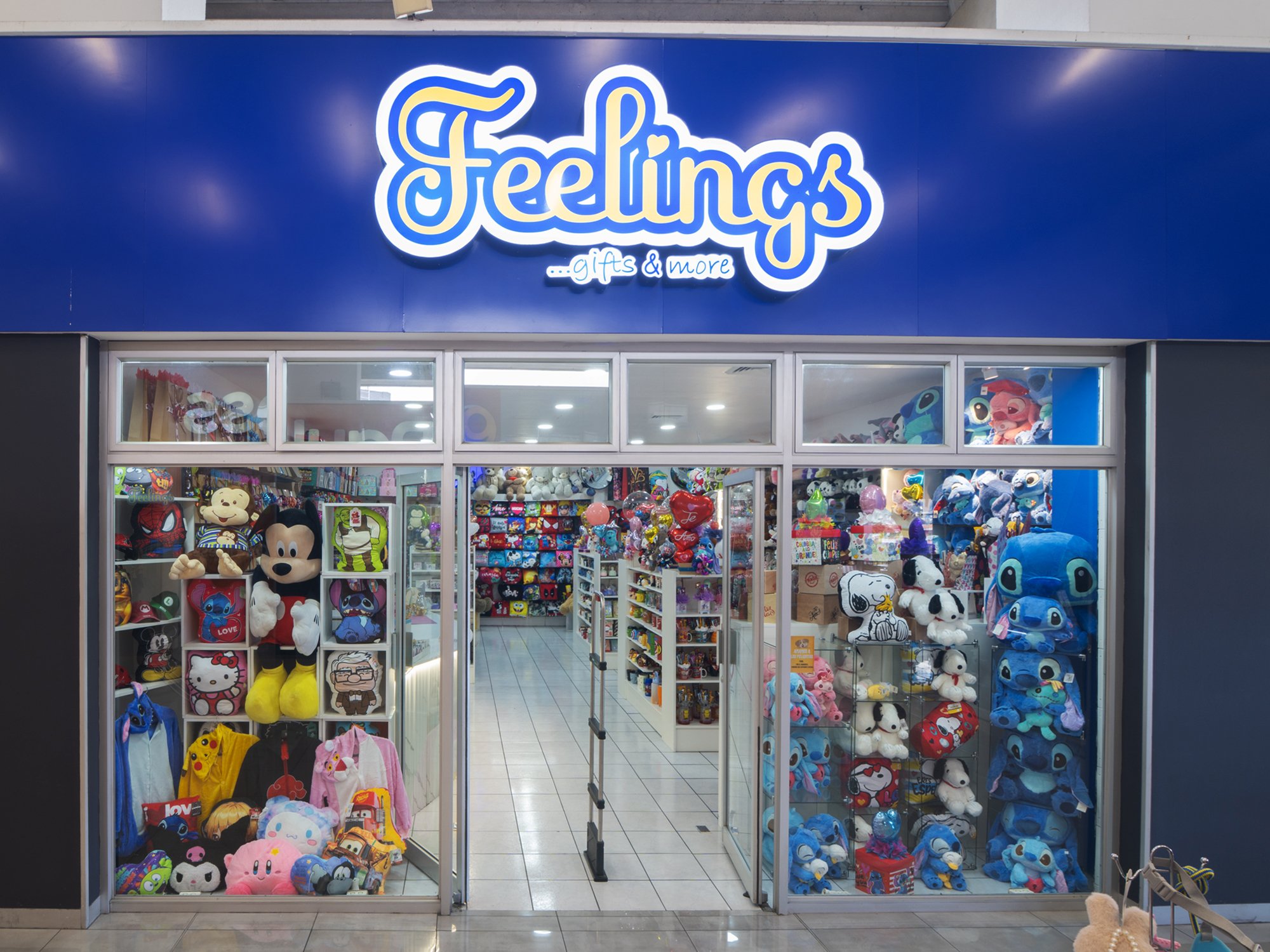 Feelings
