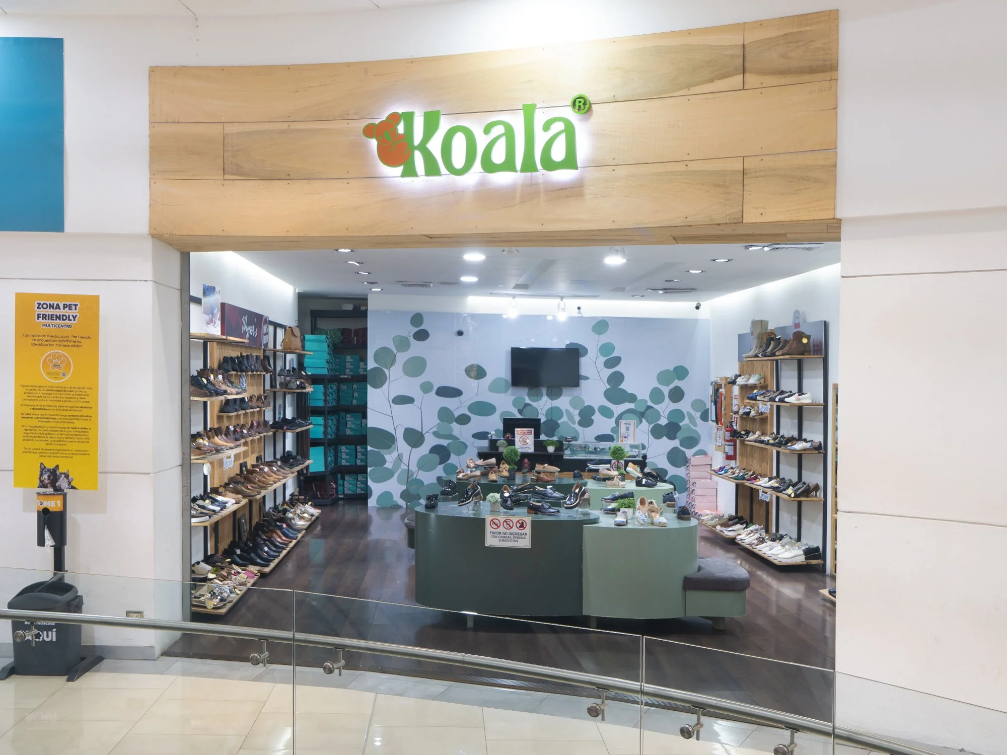45koala-a copy.jpg