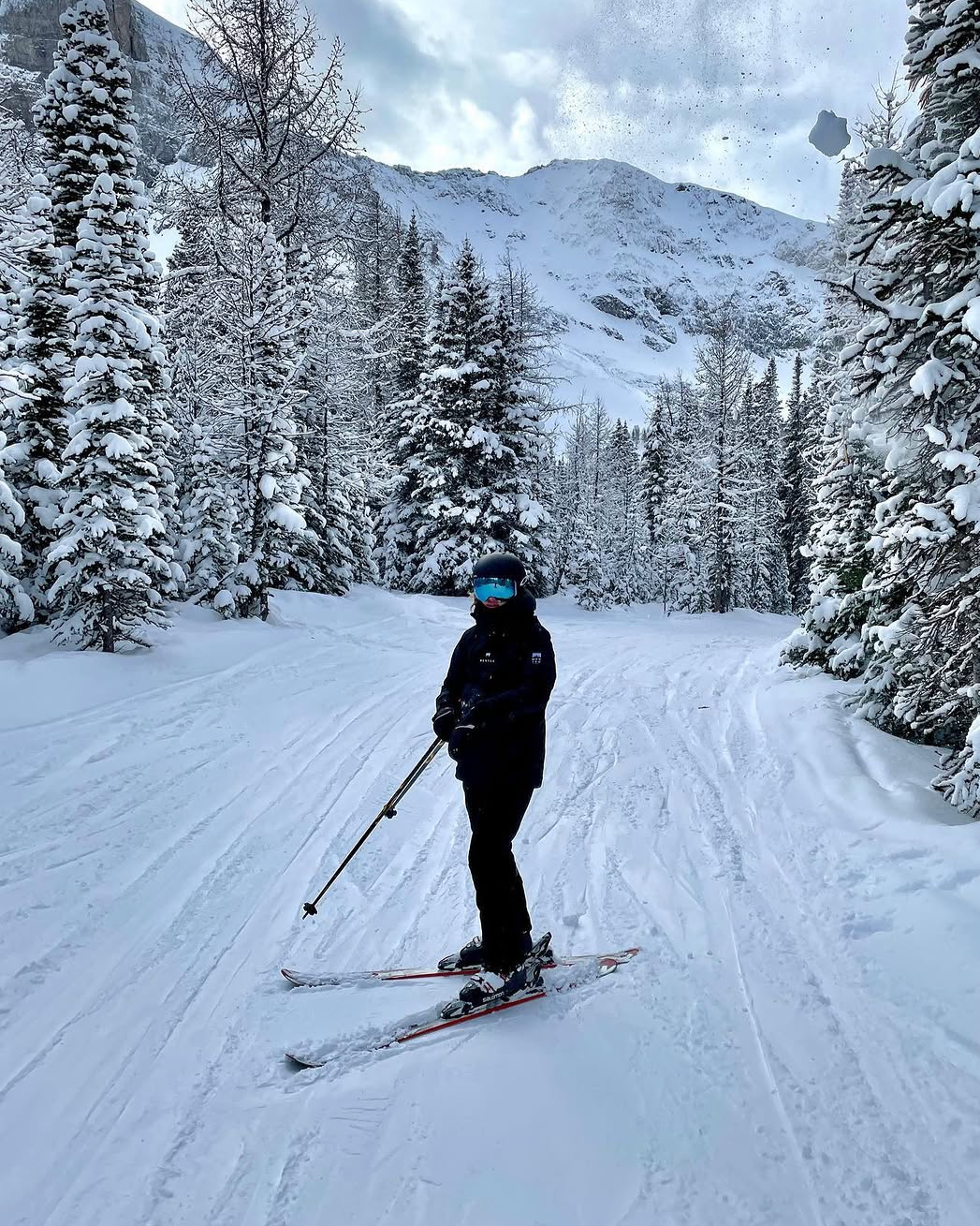 Person skiing on a snow-covered trail surrounded by snow-laden trees with a mountain in the background.