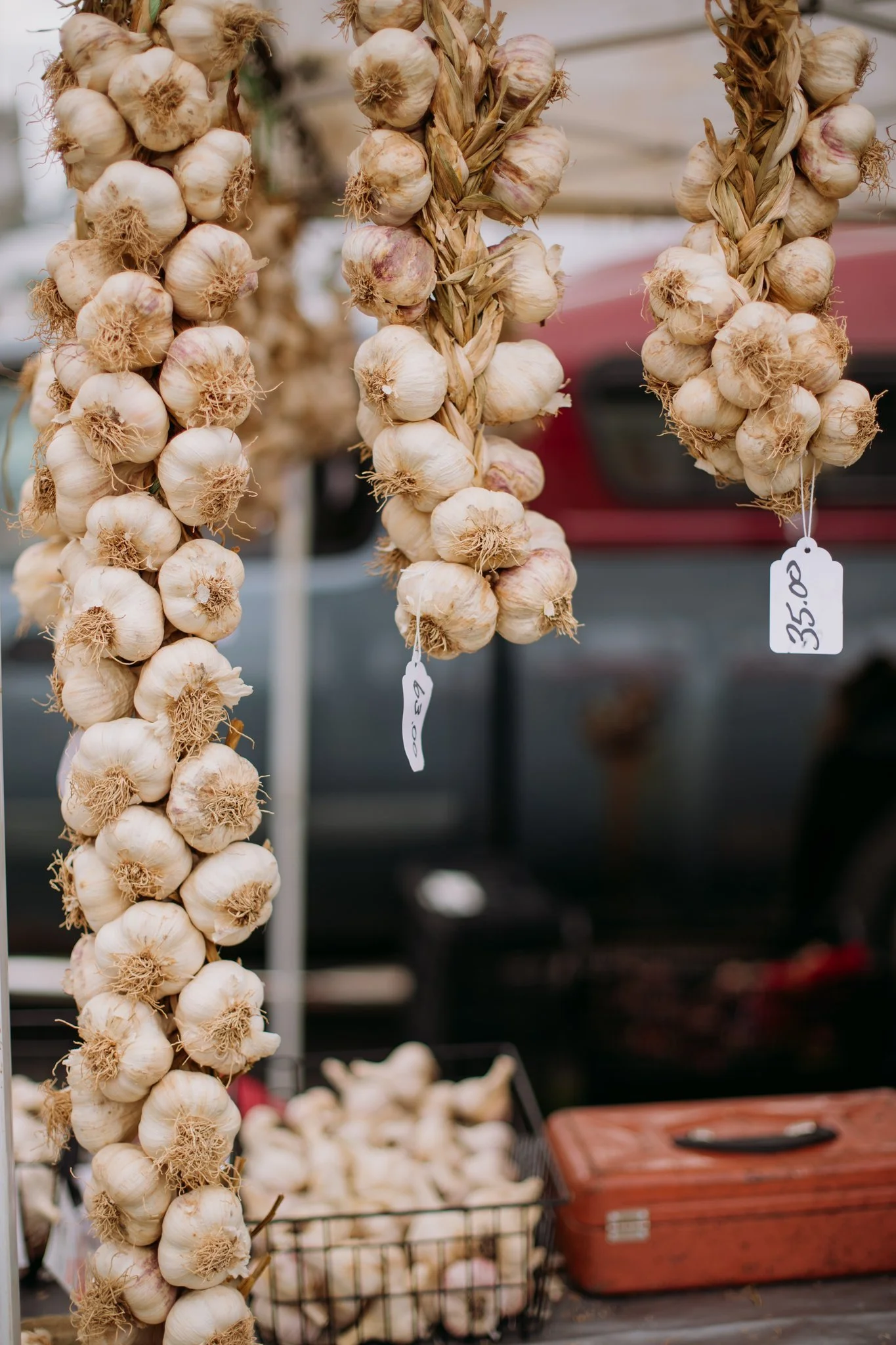 Garlic Town USA 2026-144.jpg