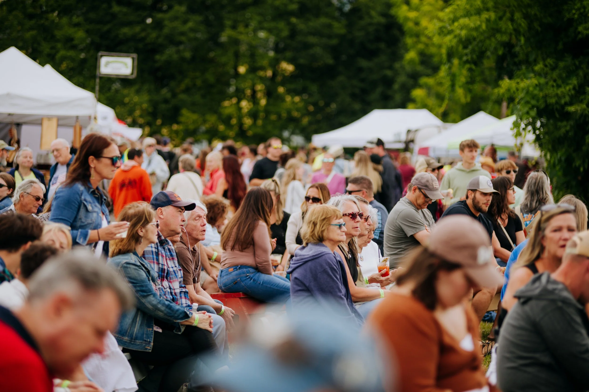 Garlic Town-Live Music Festival-South Vermont-Bennington VT-5.jpg