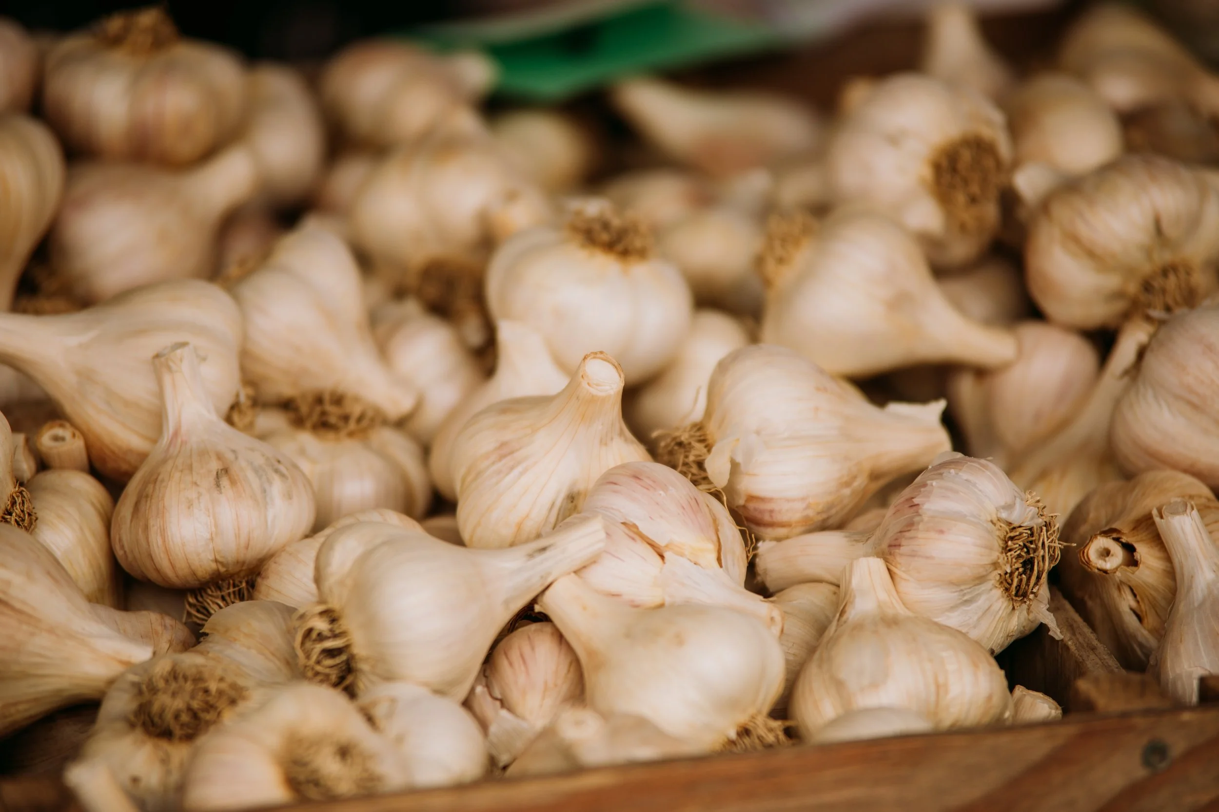 Garlic Town-Farmers Market-Produce-Vermont-8.jpg