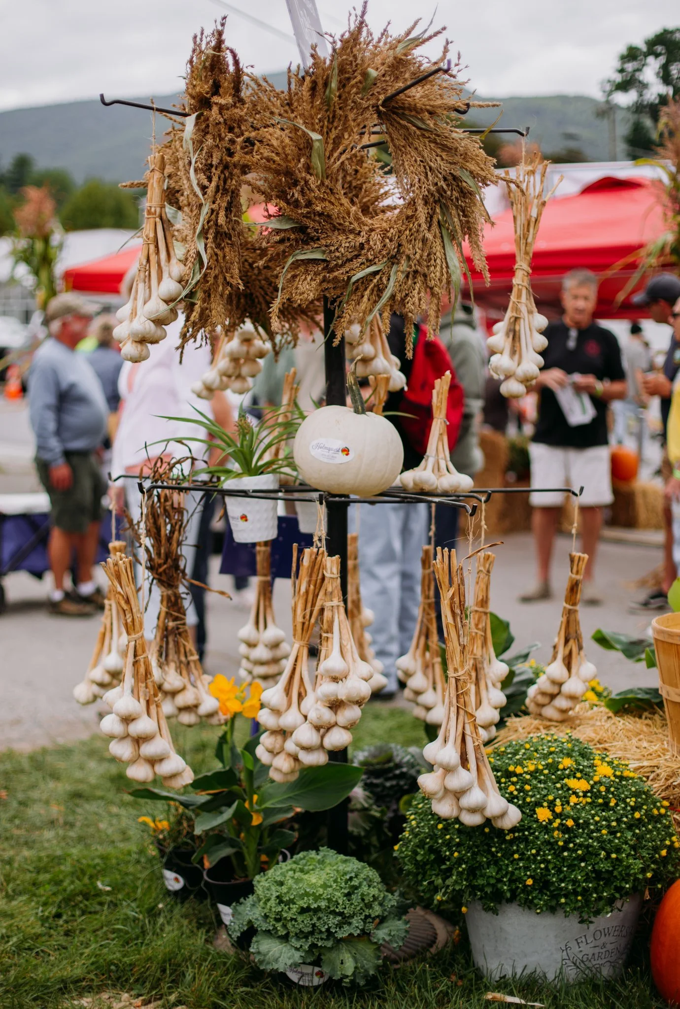 Garlic Town USA 2026-77.jpg