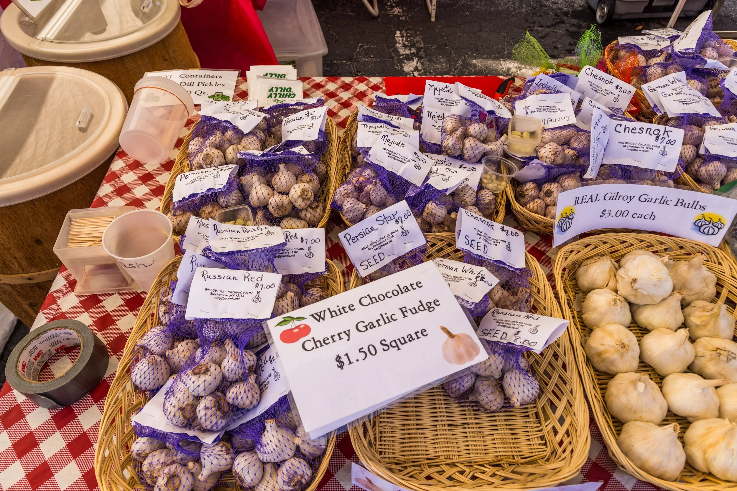 Garlic Fest-Garlic Town-Vermont Summer Event-Labor Day-Visit VT-50.jpg