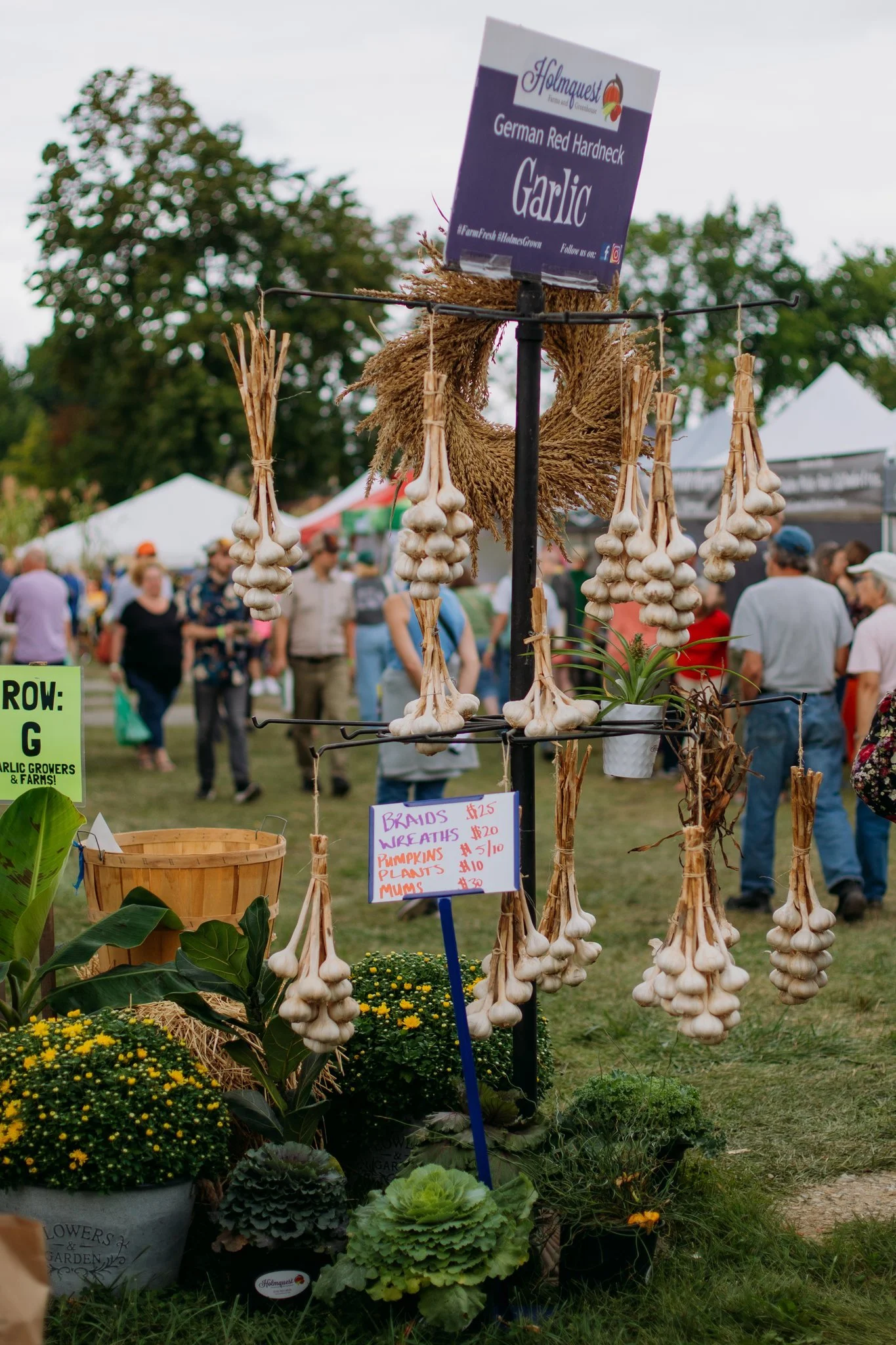 Garlic Town USA 2026-188.jpg