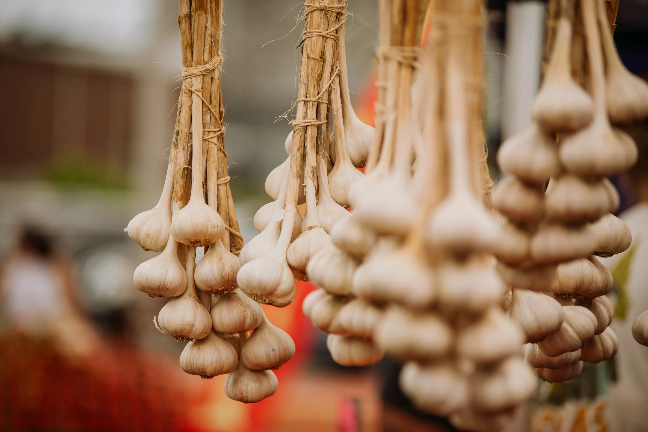 Strings of garlic bulbs hanging at an outdoor market.