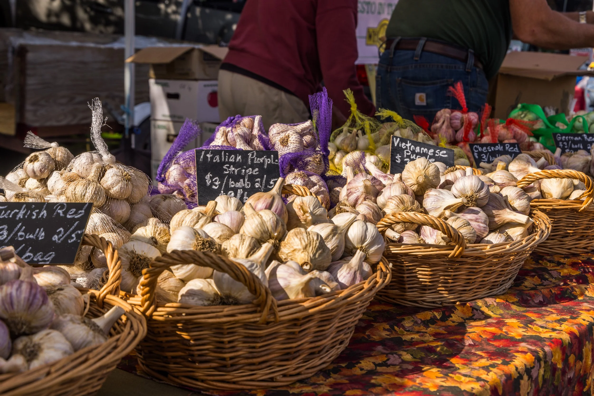 Garlic Fest-Garlic Town-Vermont Summer Event-Labor Day-Visit VT-41.jpg
