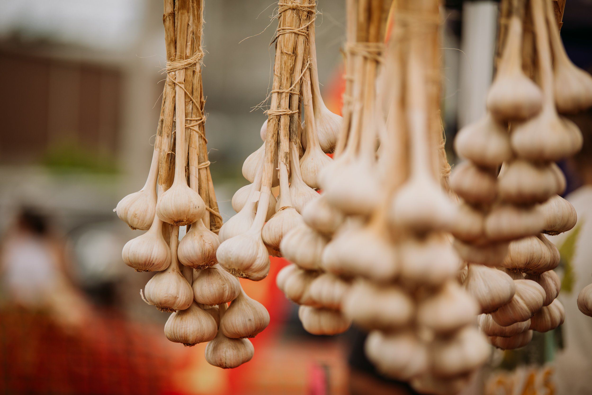 Garlic Town-Farmers Market-Produce-Vermont-7.jpg