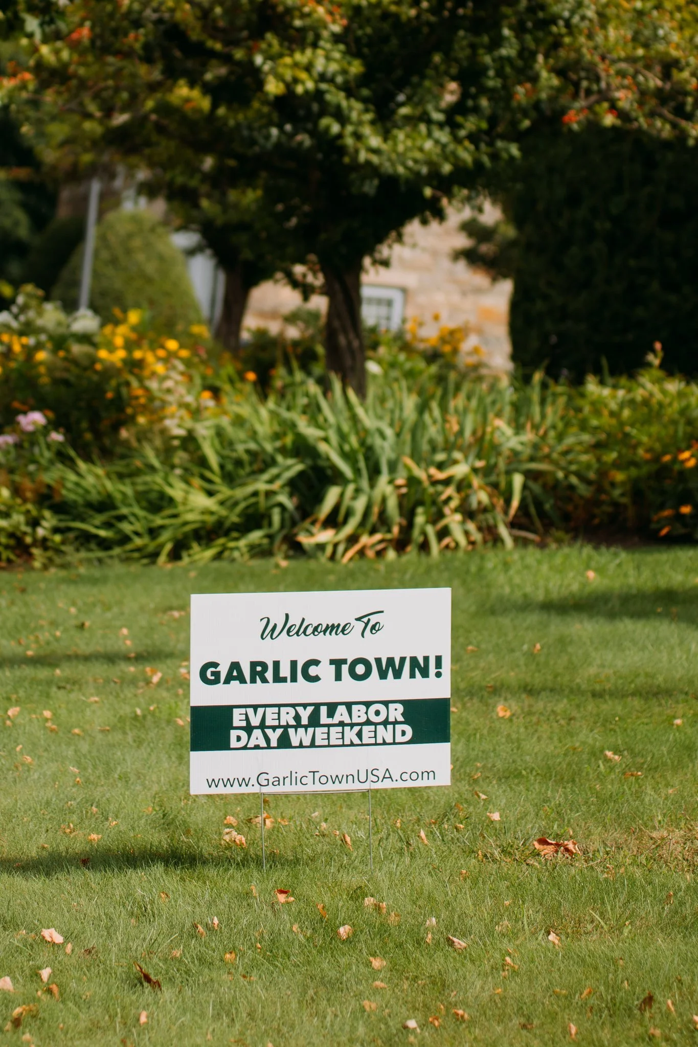 Garlic Town 2024-37.jpg