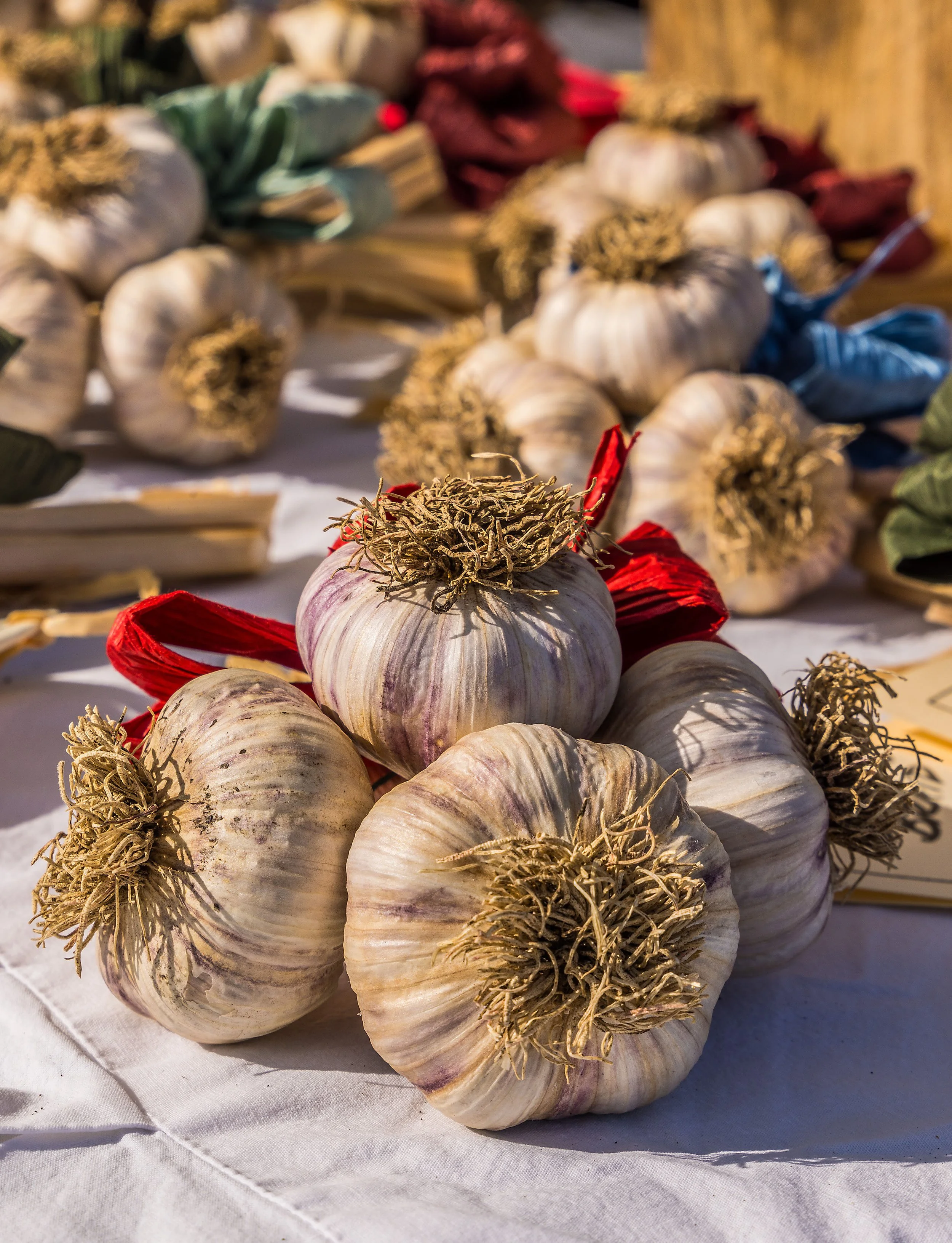 Garlic Fest-Garlic Town-Vermont Summer Event-Labor Day-Visit VT-29.jpg