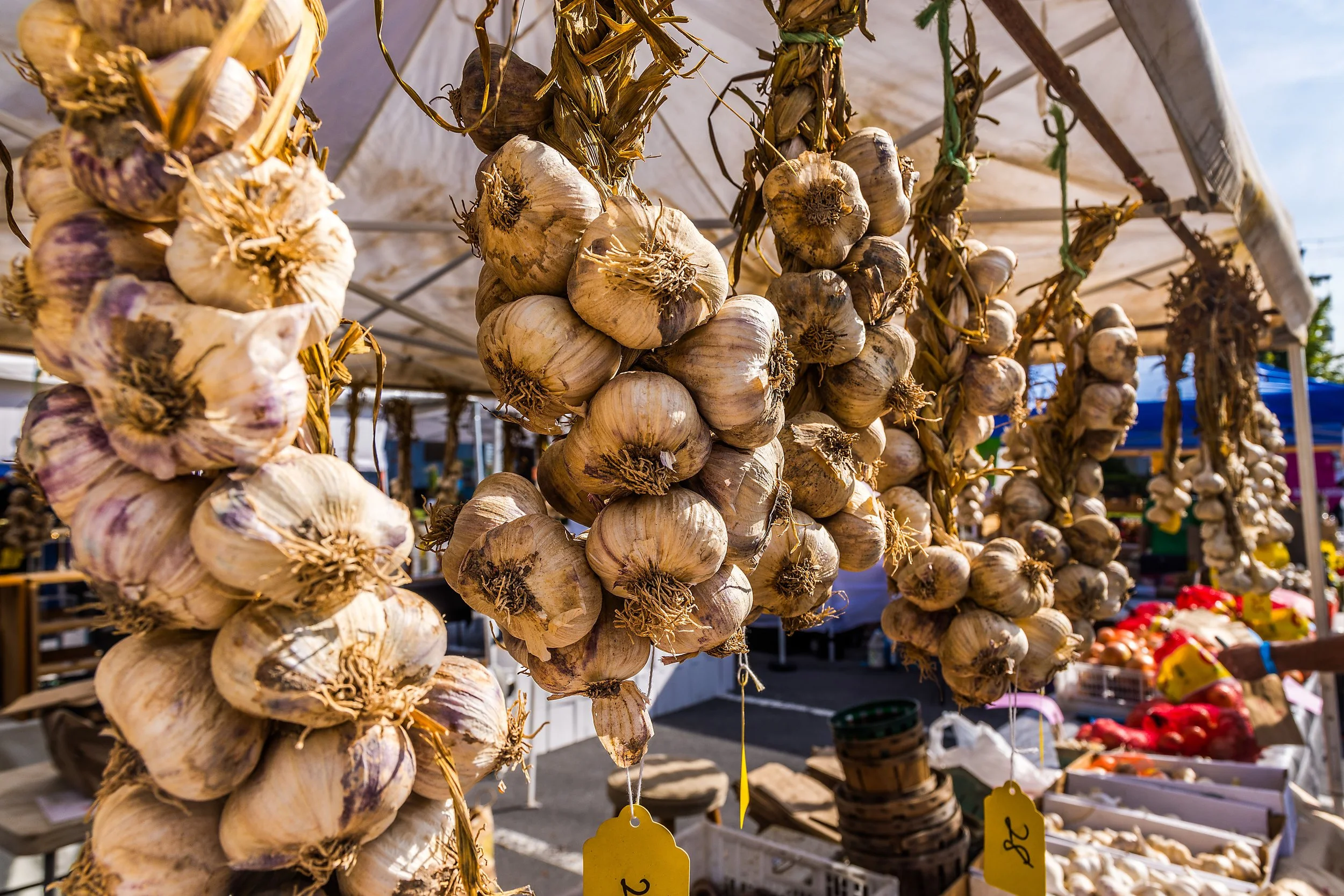 Garlic Fest-Garlic Town-Vermont Summer Event-Labor Day-Visit VT-86.jpg