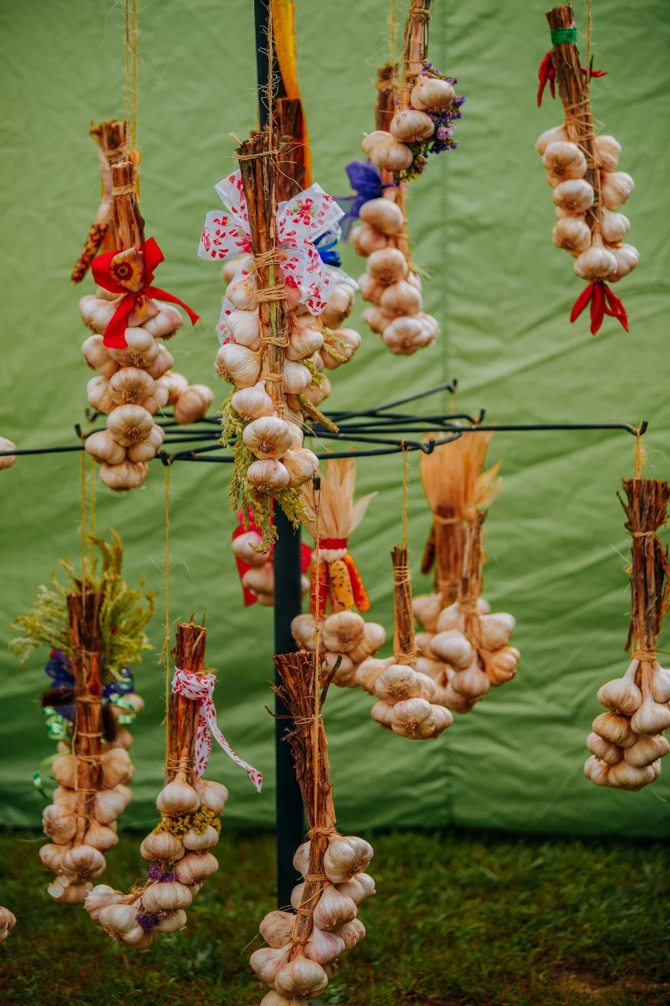 Bunches of garlic tied with colorful ribbons hanging from a black metal display at an outdoor market against a green background.
