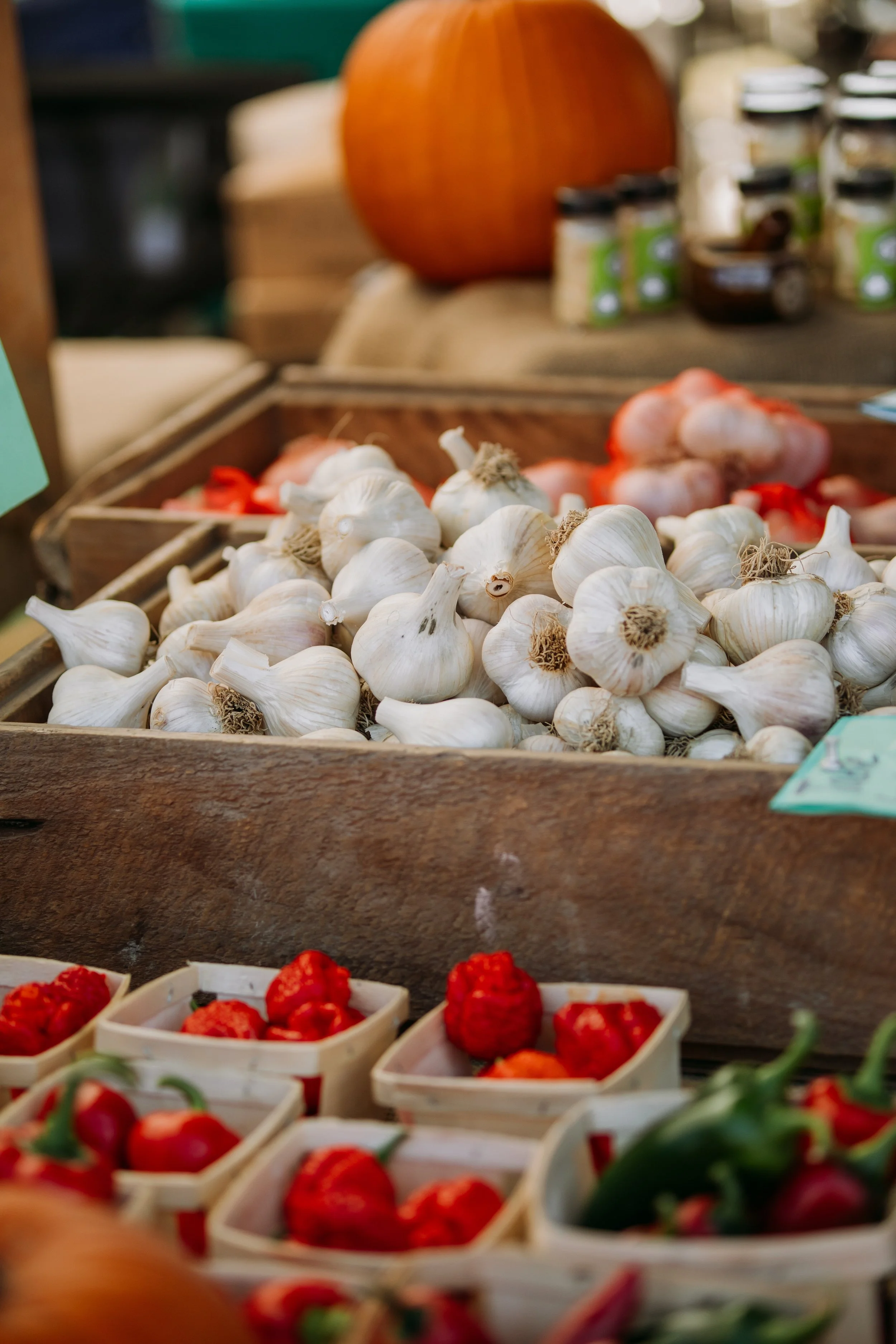 Garlic Town-Farmers Market-Produce-Vermont-3.jpg