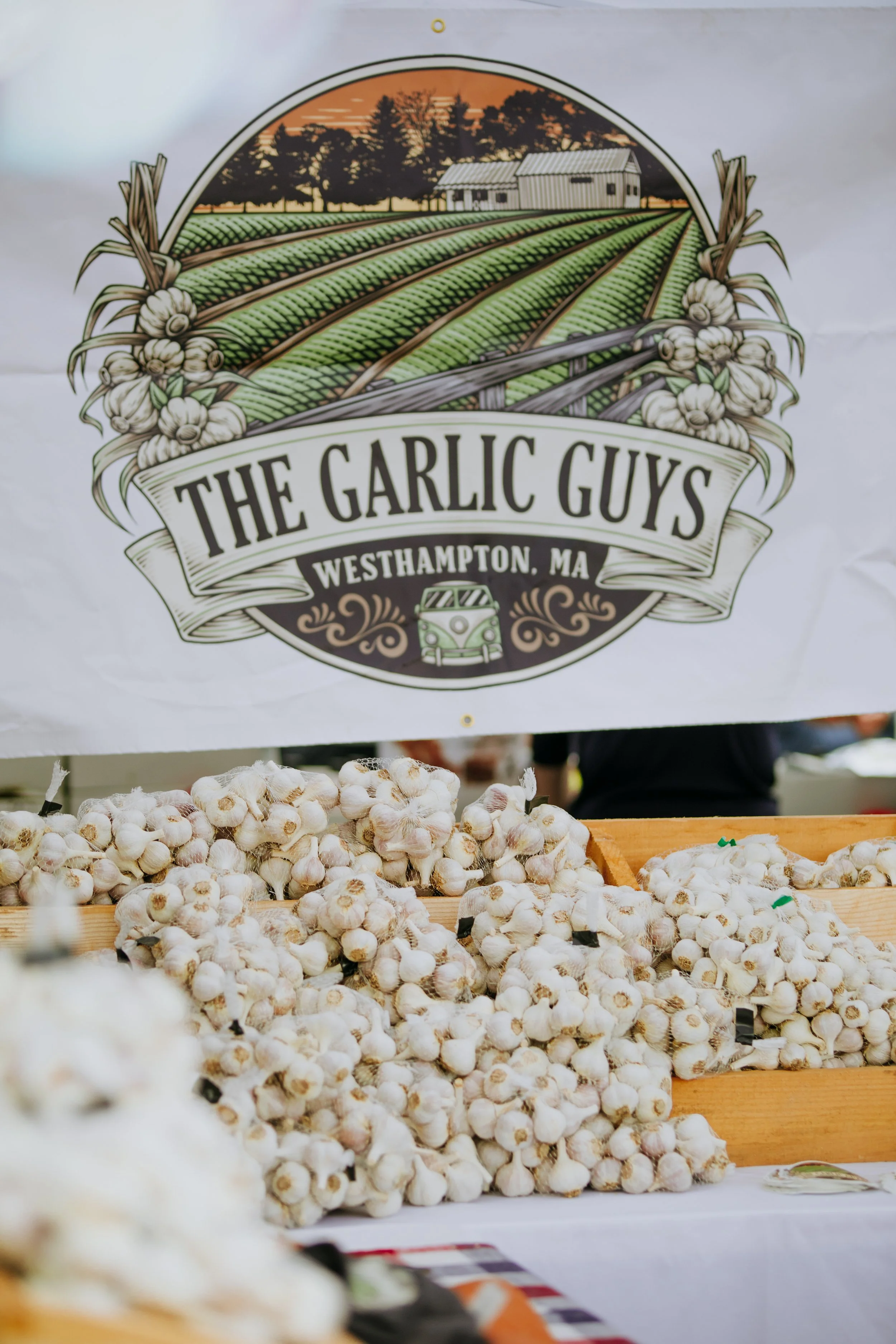Baskets of garlic bulbs at a farmer's market stall with a sign reading 'The Garlic Guys, Westhampton, MA' and a farm scene with a barn and fields in the background.