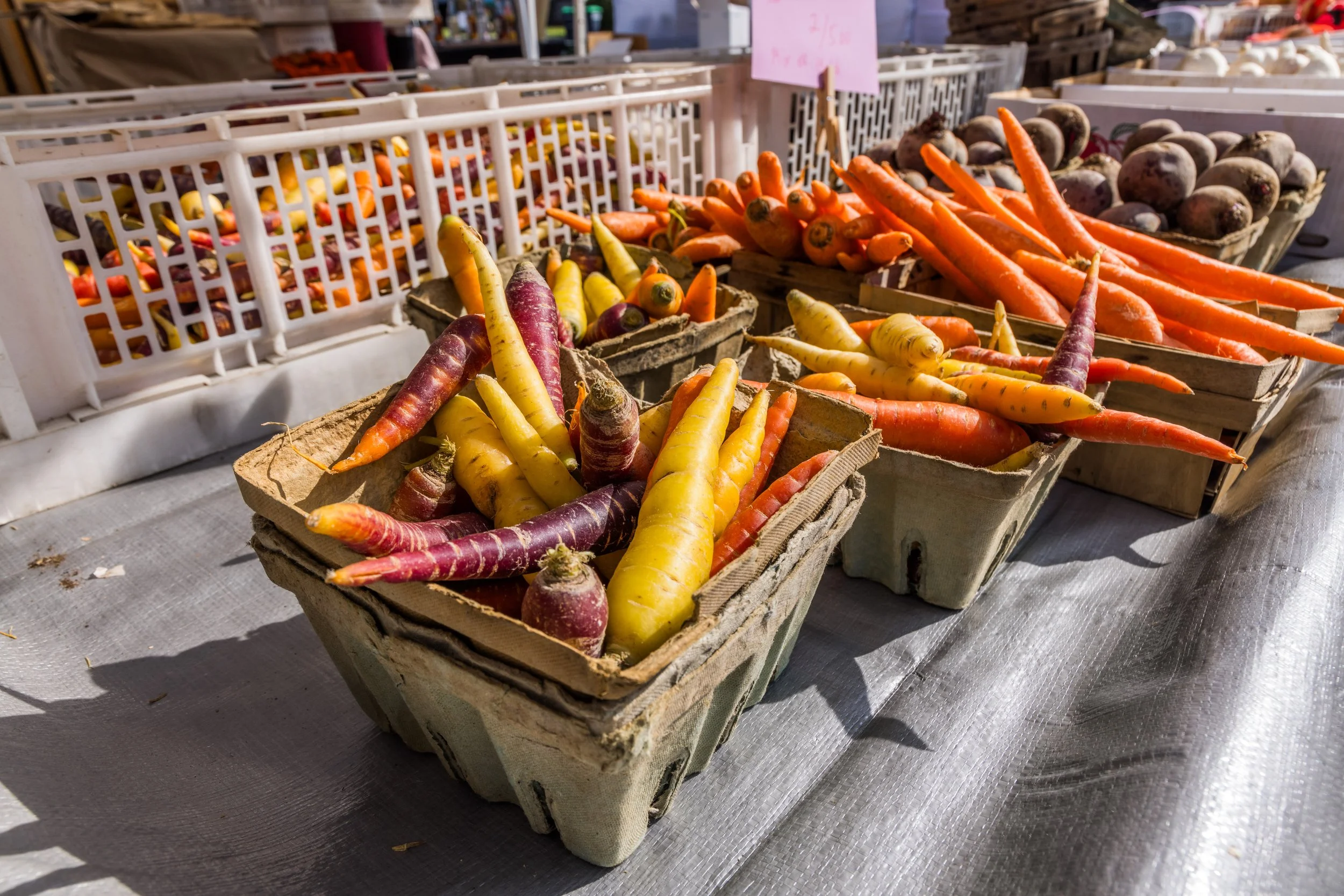 Garlic Fest-Garlic Town-Vermont Summer Event-Labor Day-Visit VT-88.jpg