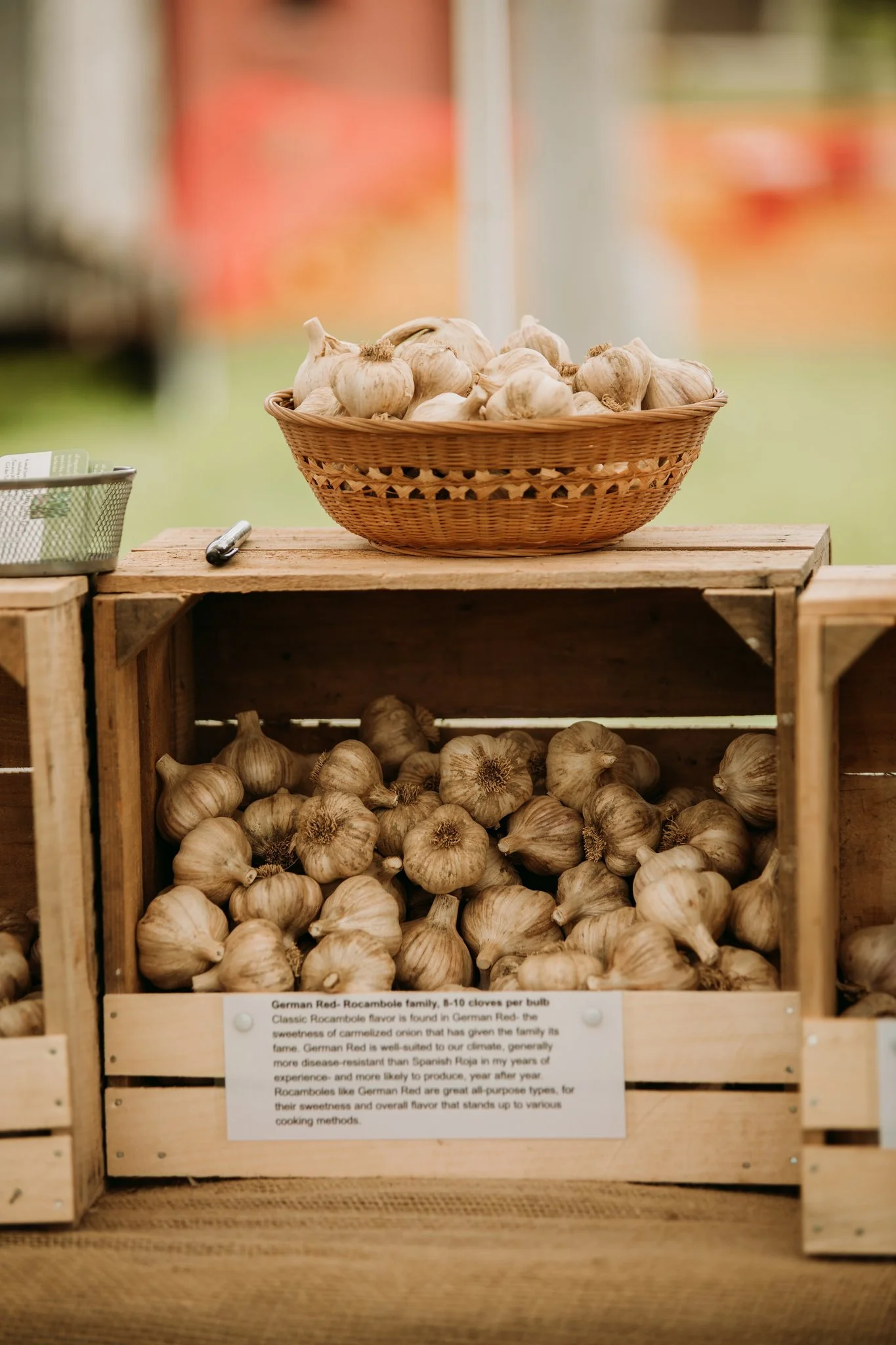 Basket of garlic bulbs on a wooden stand