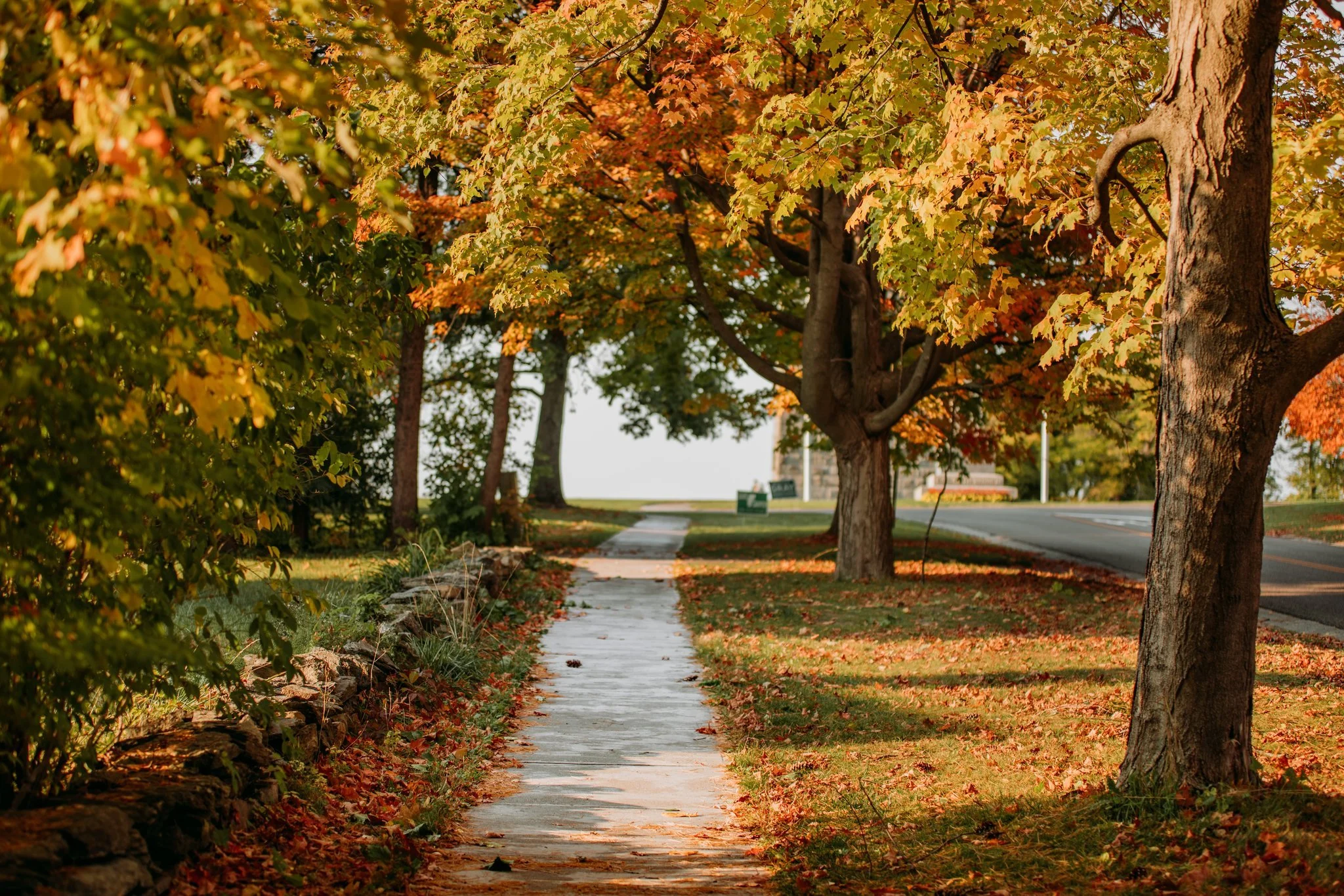 A sidewalk lined with trees displaying vibrant fall foliage, with leaves scattered on the ground, and a park bench visible in the distance.