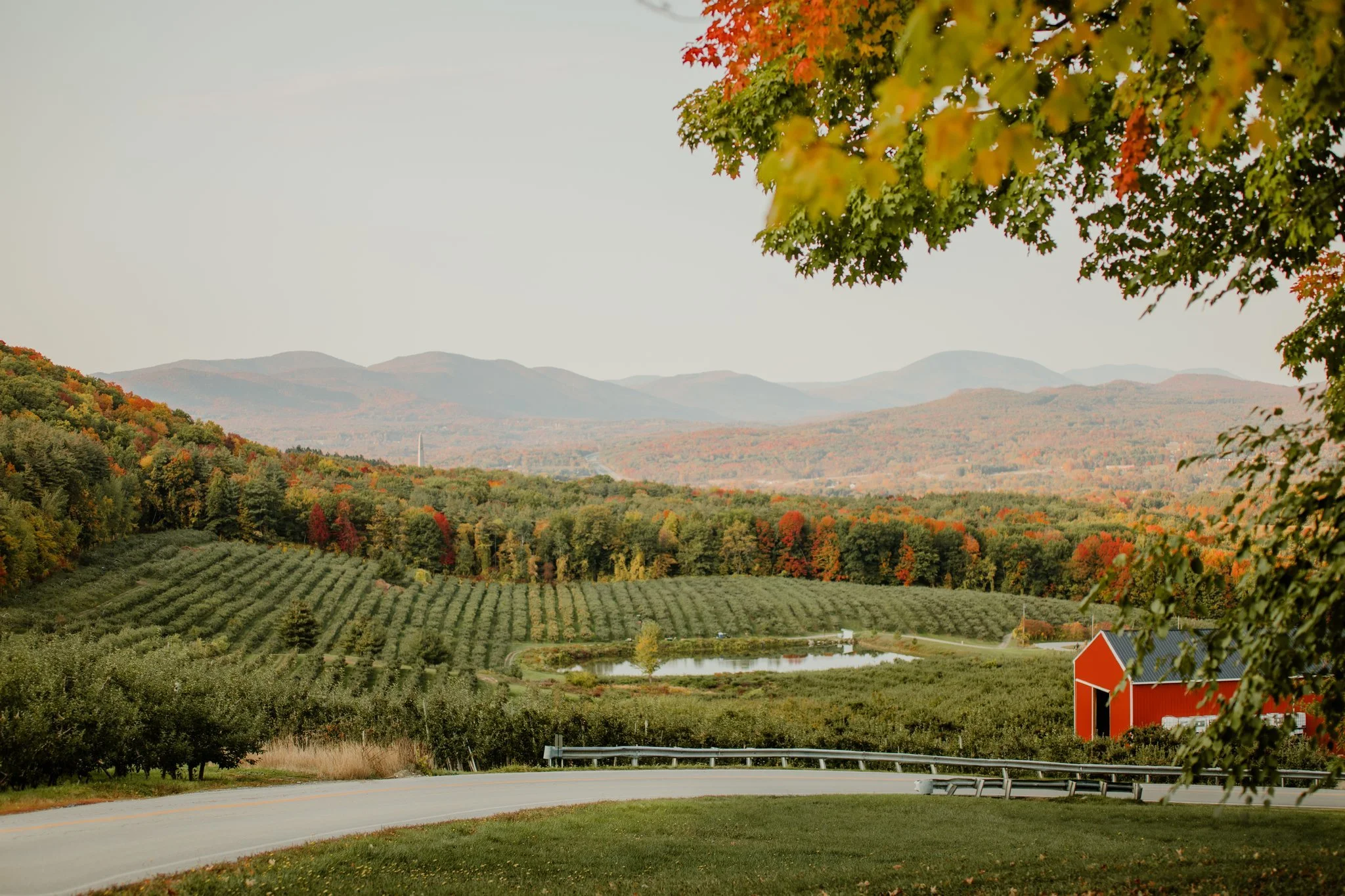 Scenic view of rolling hills with autumn-colored trees, a red barn, a pond, and mountains in the background, with a curved road in the foreground.