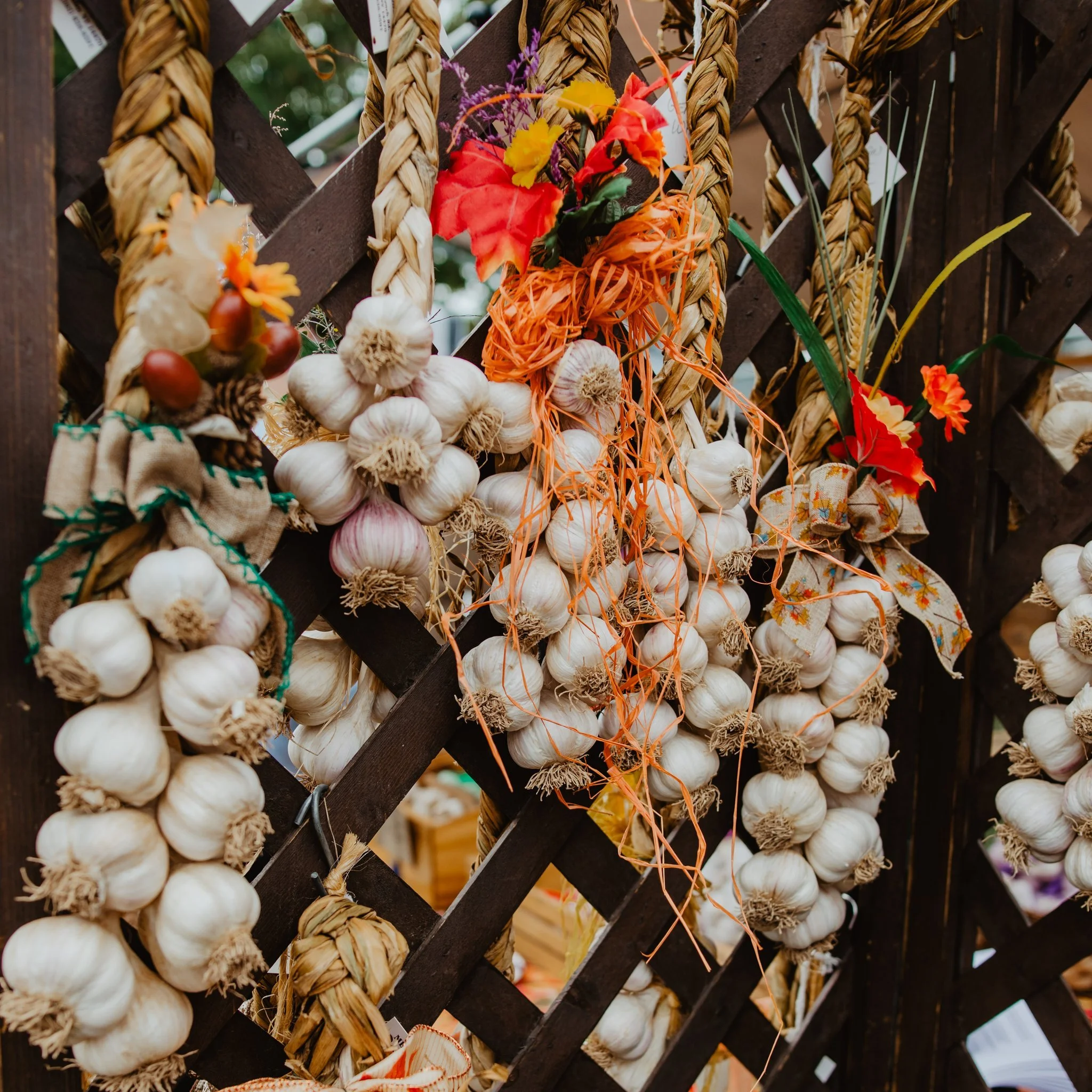 Bundles of garlic, decorative orange and red flowers, and autumn leaves hanging on a wooden lattice.