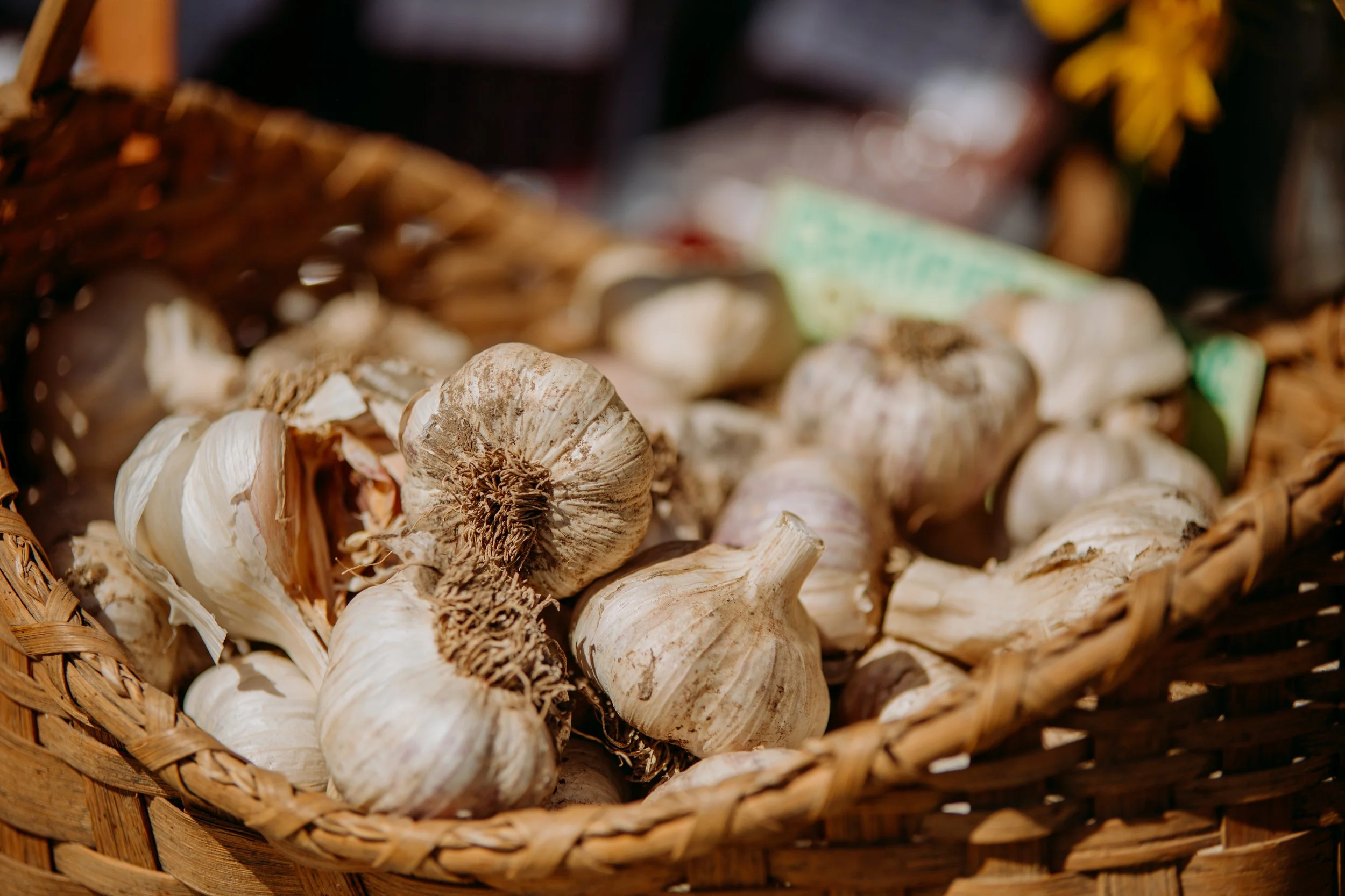 Garlic Town-Farmers Market-Produce-Vermont-6.jpg