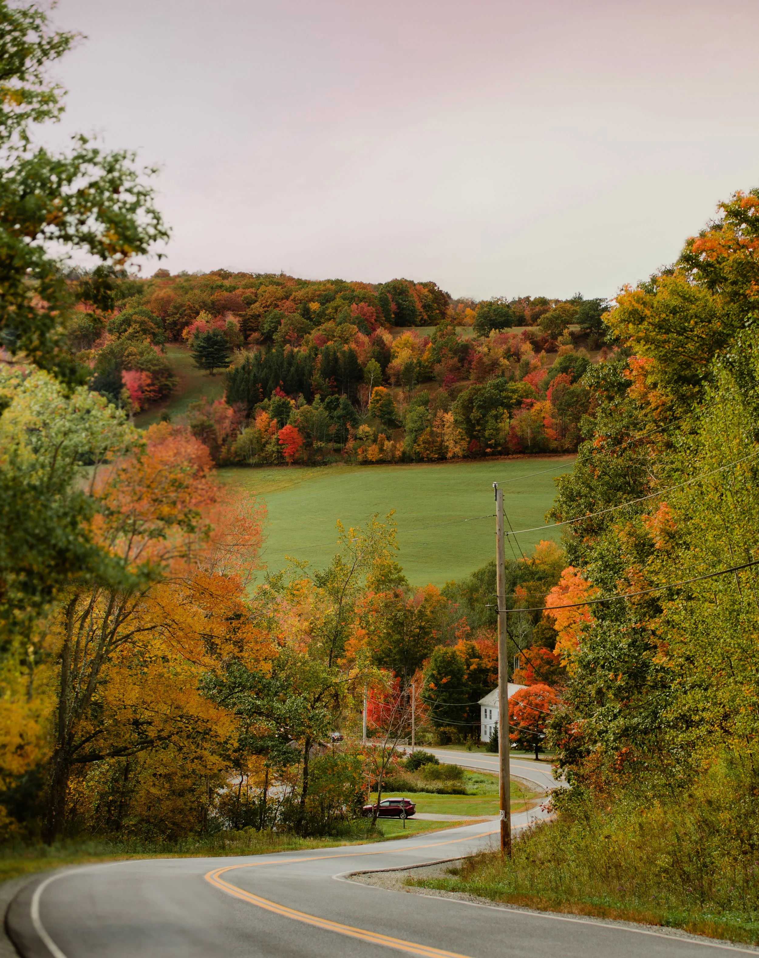 A winding rural road surrounded by colorful autumn trees leading towards a green hill in the distance, with a few houses and cars visible along the roadside.