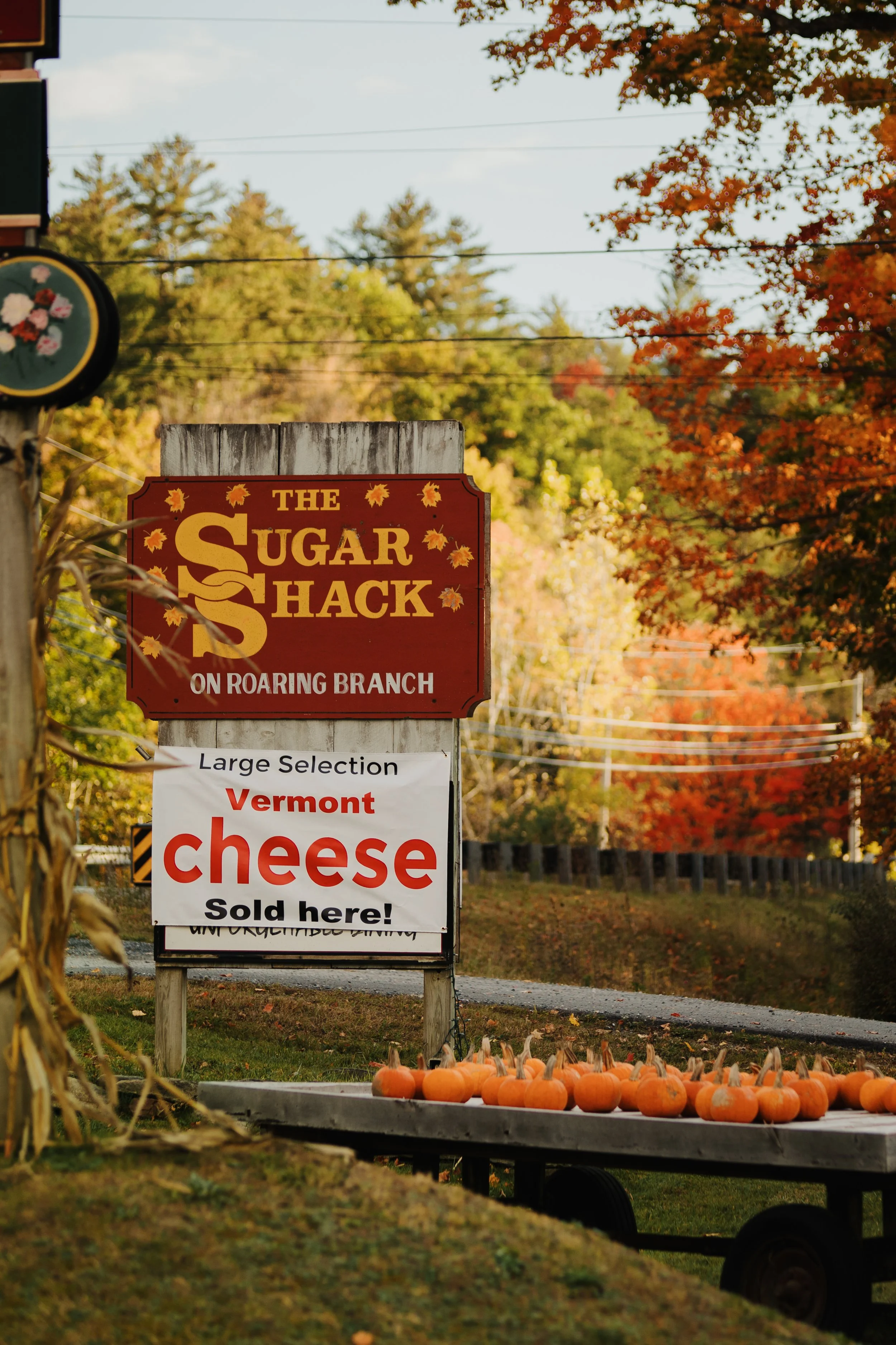 A sign outside a farm stand for The Sugar Shack on Roaring Branch advertising a large selection of Vermont cheese sold on-site, with small pumpkins on a table in front of the sign and trees with fall foliage in the background.