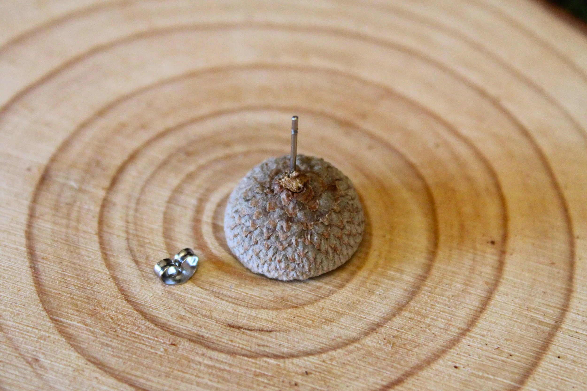 IMG_9939 - Edited.jpg