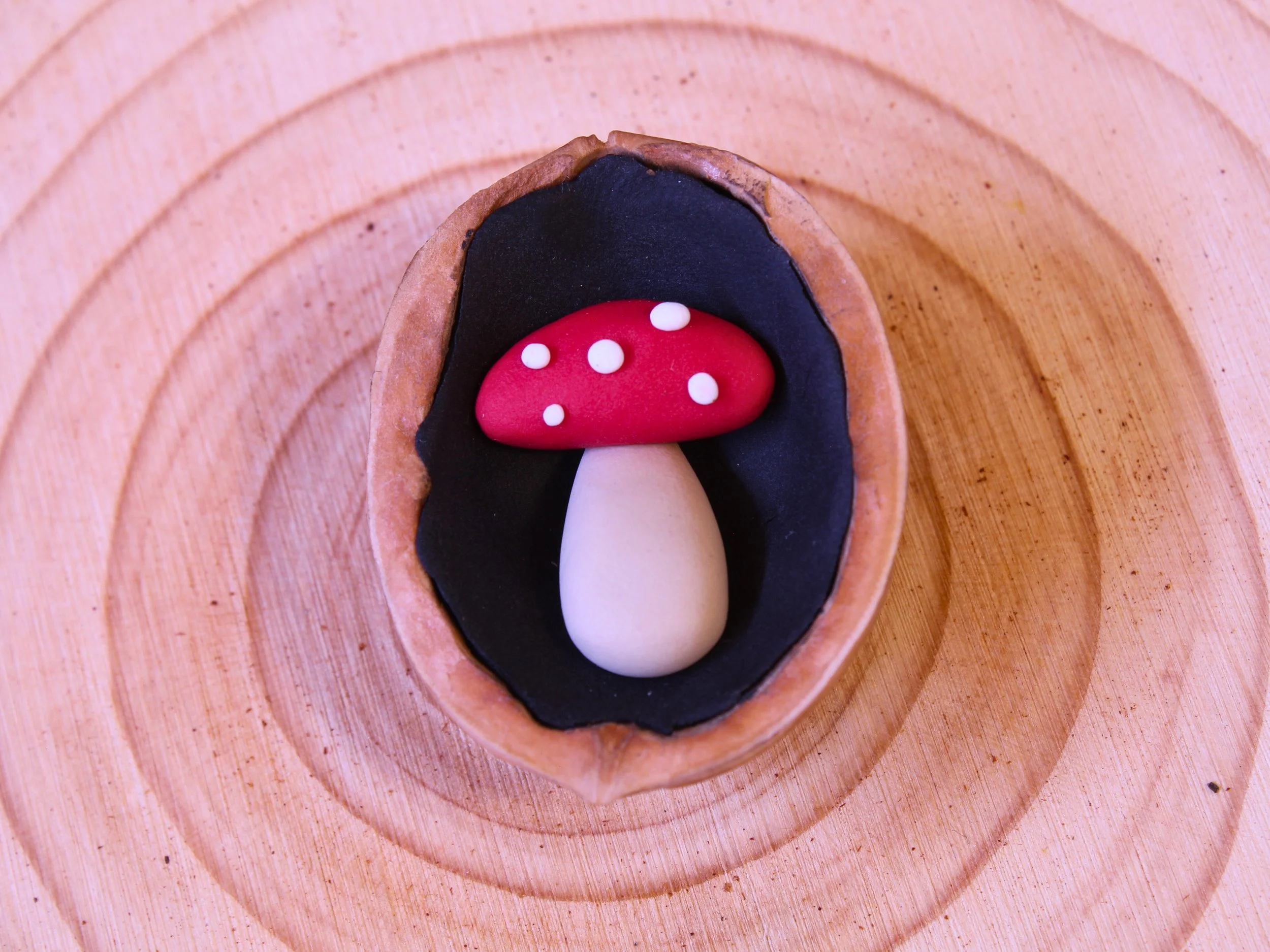 MUSHROOM CLOSE - Edited.jpg