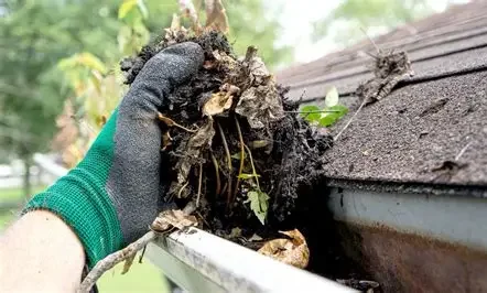 A hand wearing a green glove holds a large clump of dirt, roots, and plant debris near the edge of a roof with brown shingles and a white gutter, with trees in the background.