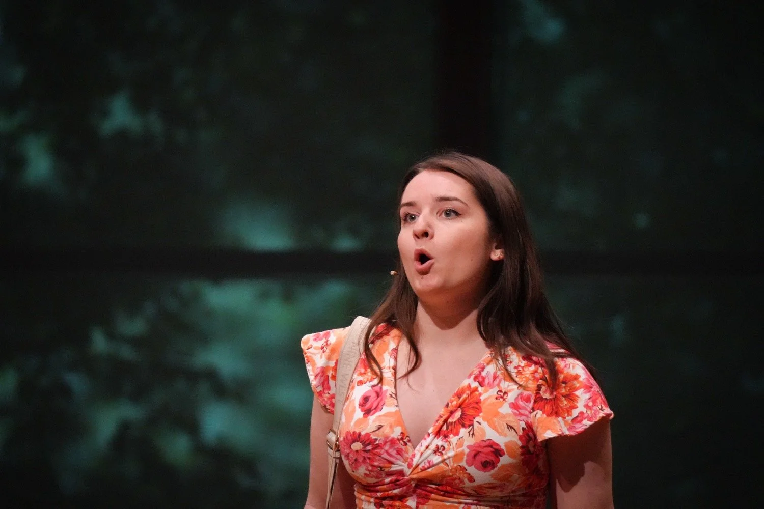 Soprano Soloist in Robert Patterson's New York Stories with the Mostly Modern Festival 