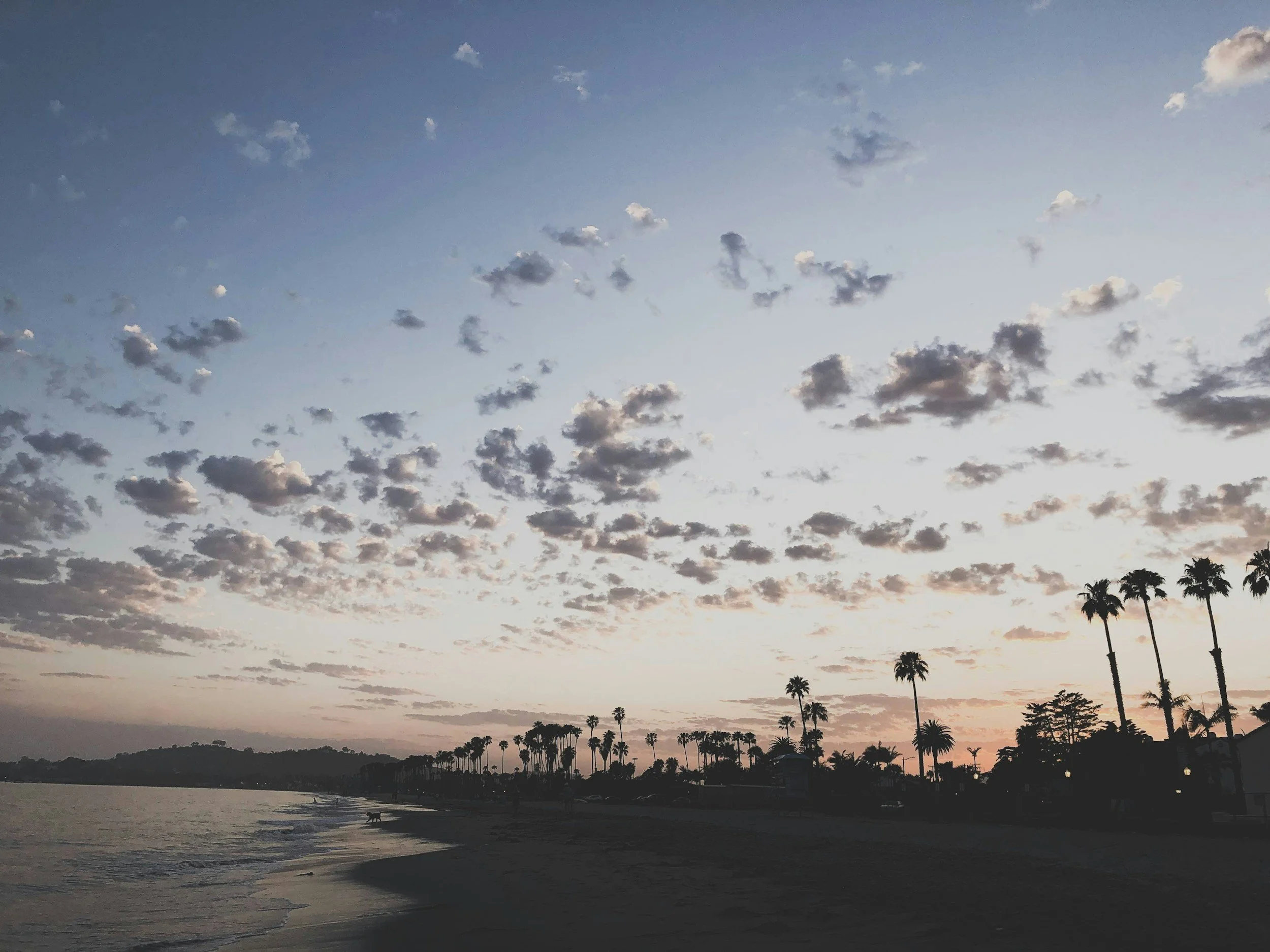 Why Santa Barbara Is One of California's Top Food and Wine Destinations