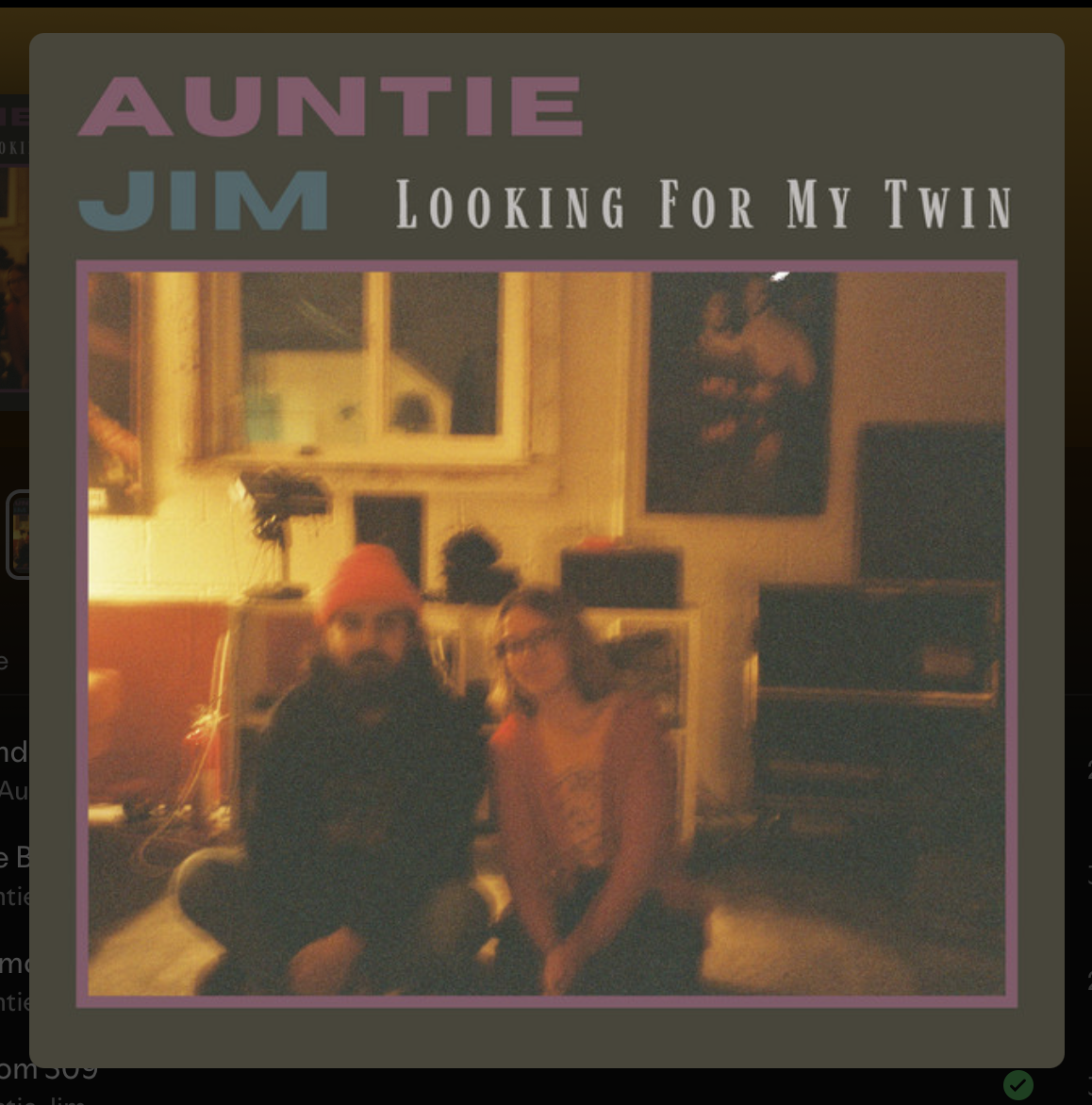 Looking For My Twin EP - Mixer