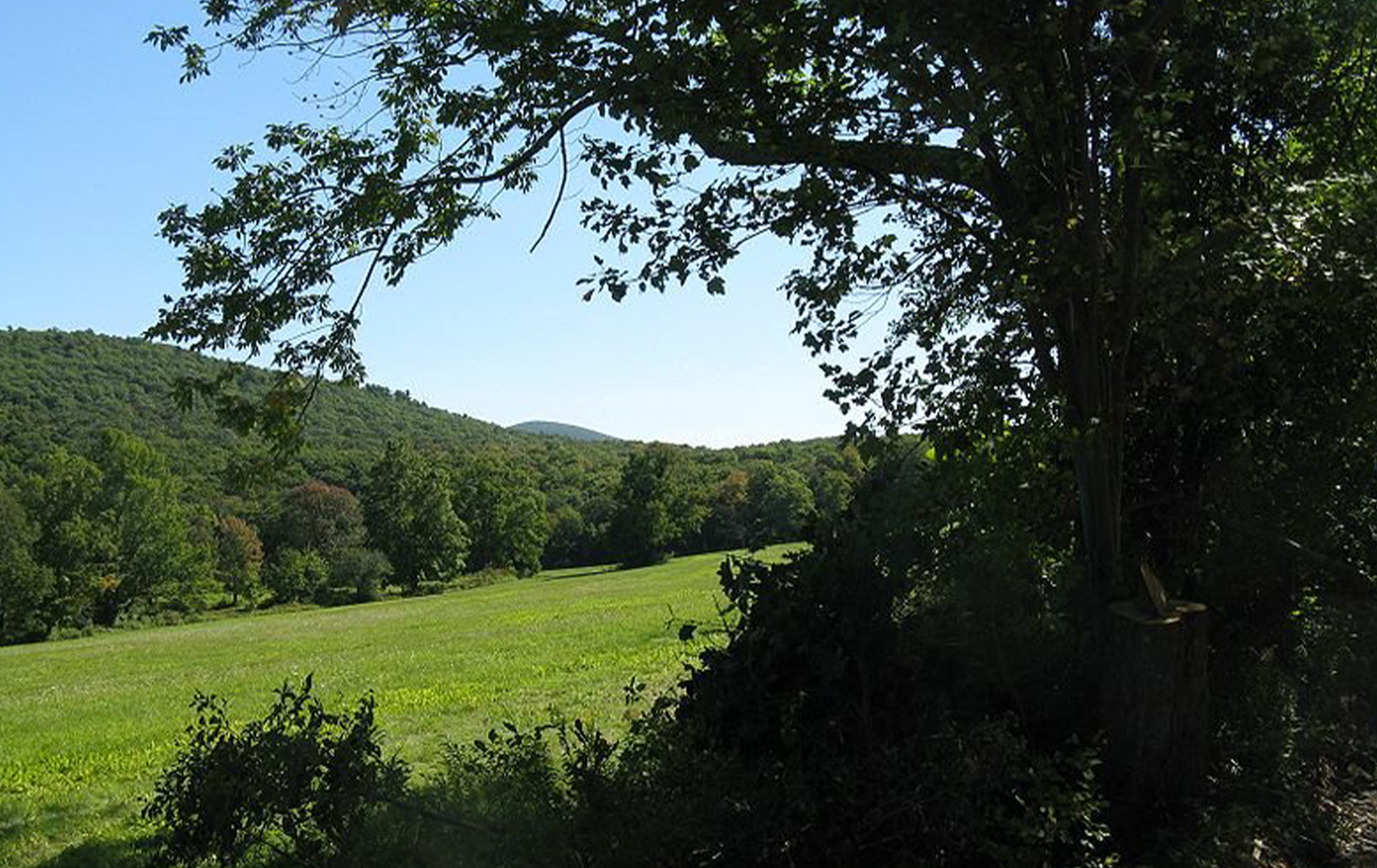 Massachusetts Town Achieves Lightning-Fast Speeds with Publicly Owned Fiber Optic Network