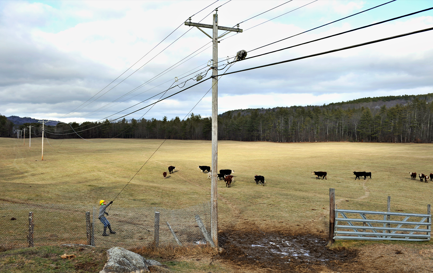 A Fiber Network Spurs a New Northern New Hampshire Tech Corridor