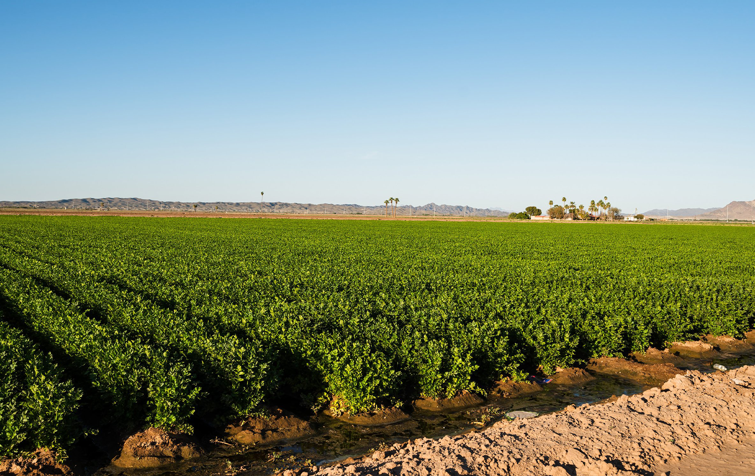 eX² Technology Selected to Advance Wireless Connectivity in Yuma County, Arizona to Support Water Conservation Efforts