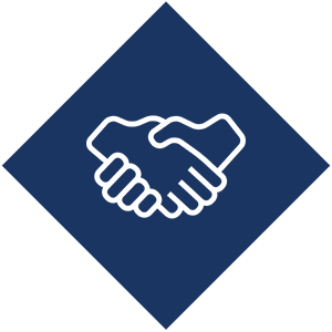 100+ Satisfied Clients