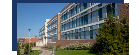Modern multi-story office building with glass windows, surrounded by greenery, under a clear blue sky.