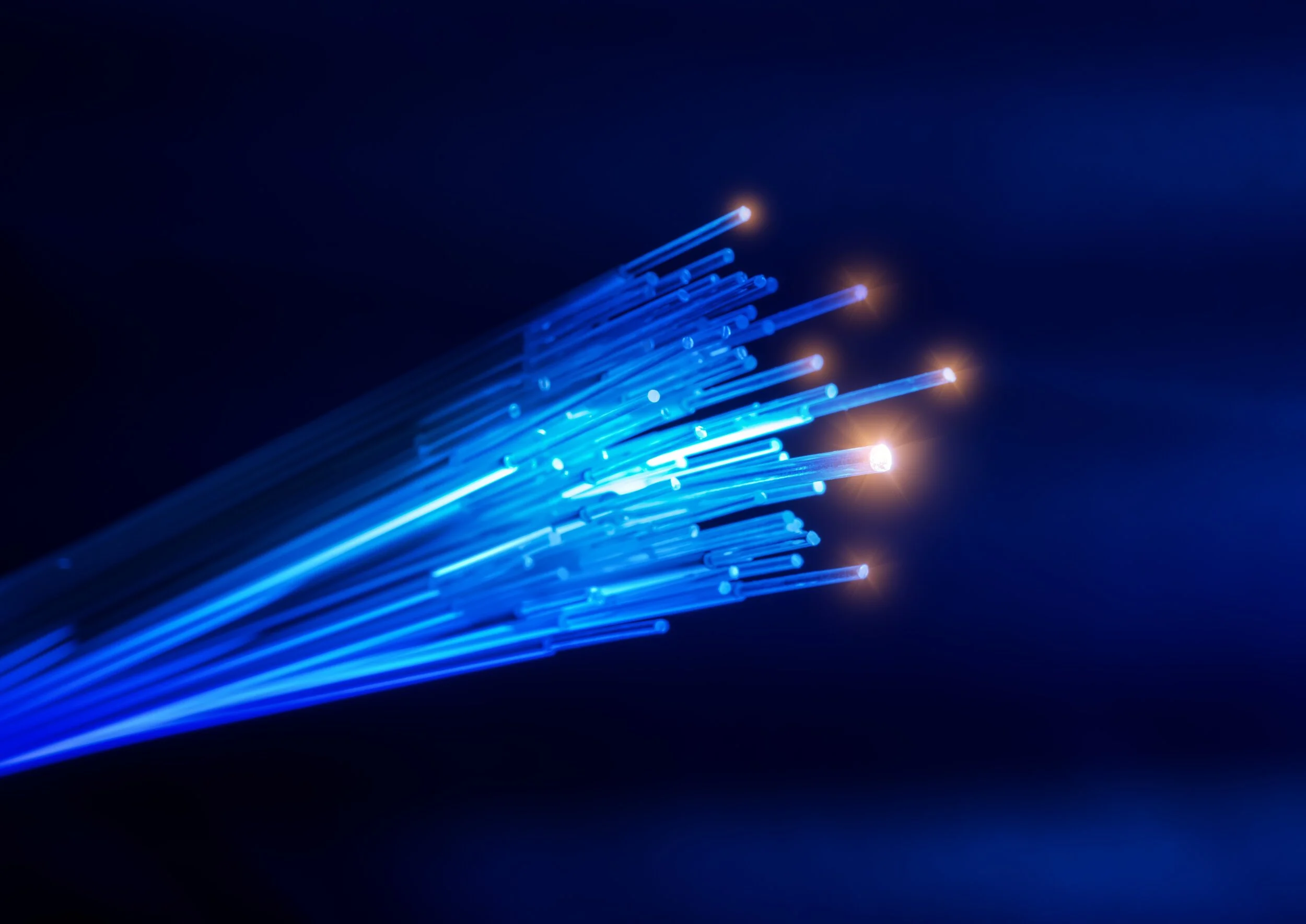 Close-up of blue fiber optic cables emitting light against a dark background.