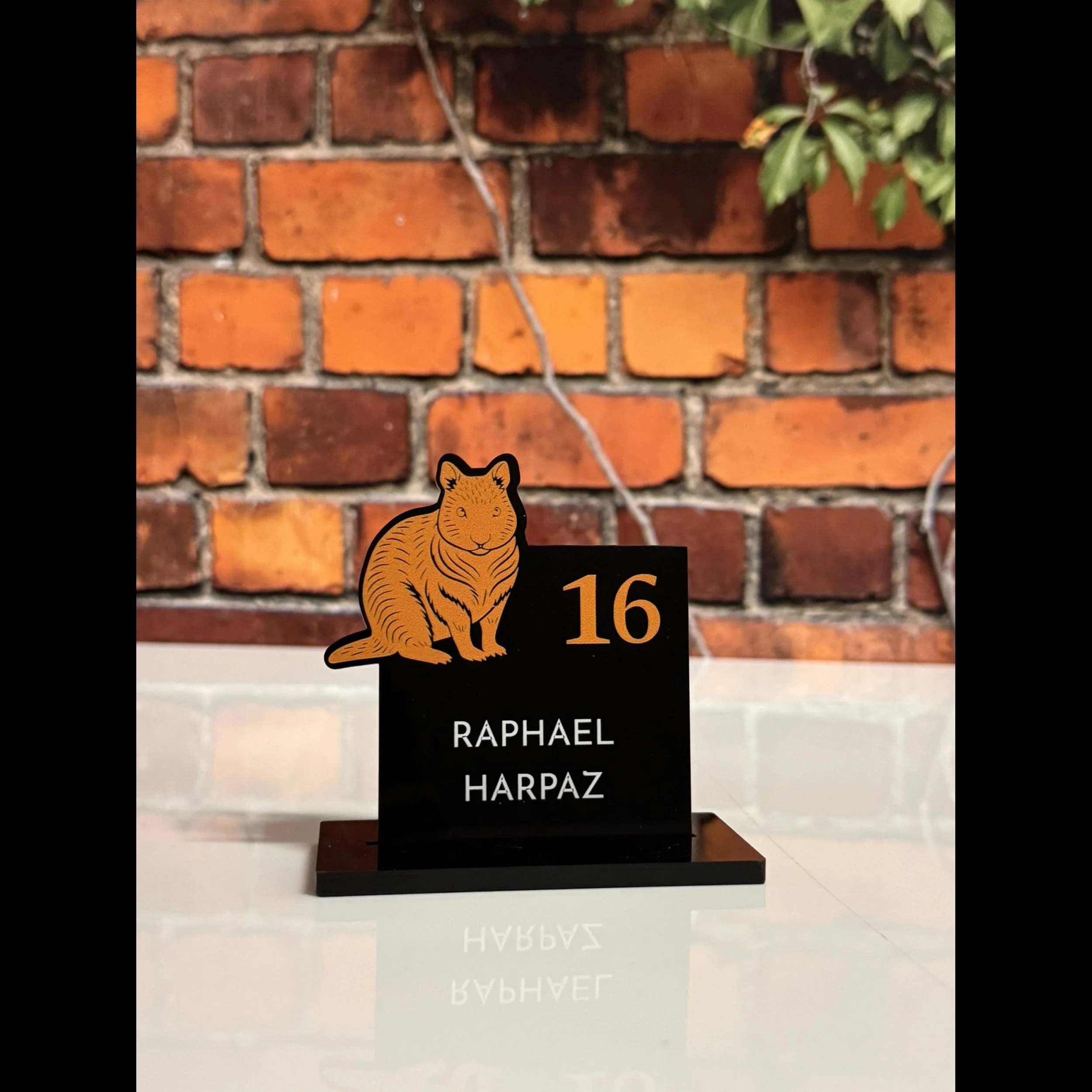 Aussie Quokka Place Card.jpg