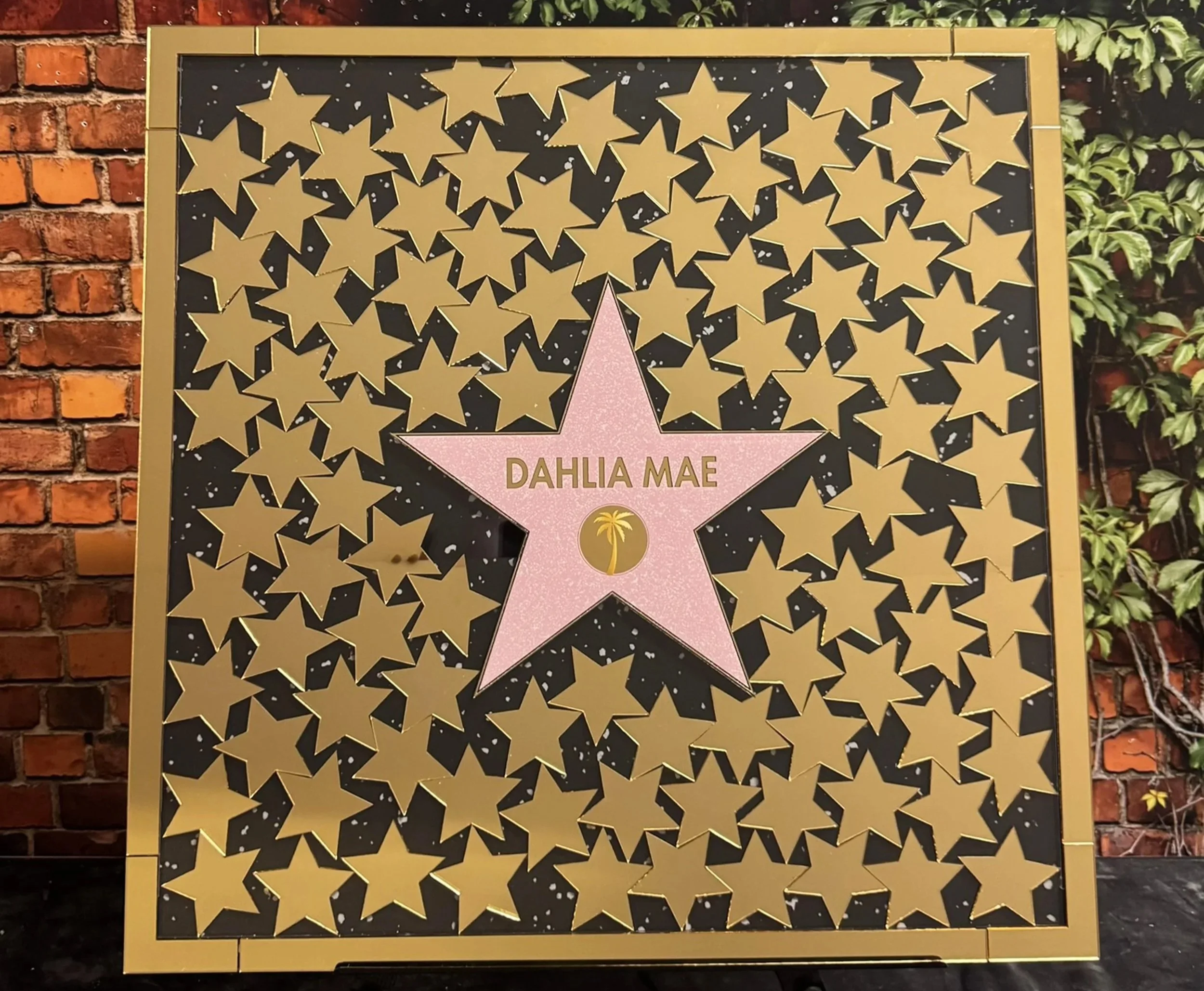 Dahlia+Mae+Hollywood+Star+Walk+of+Fame+Drop+Box+Filled.jpg