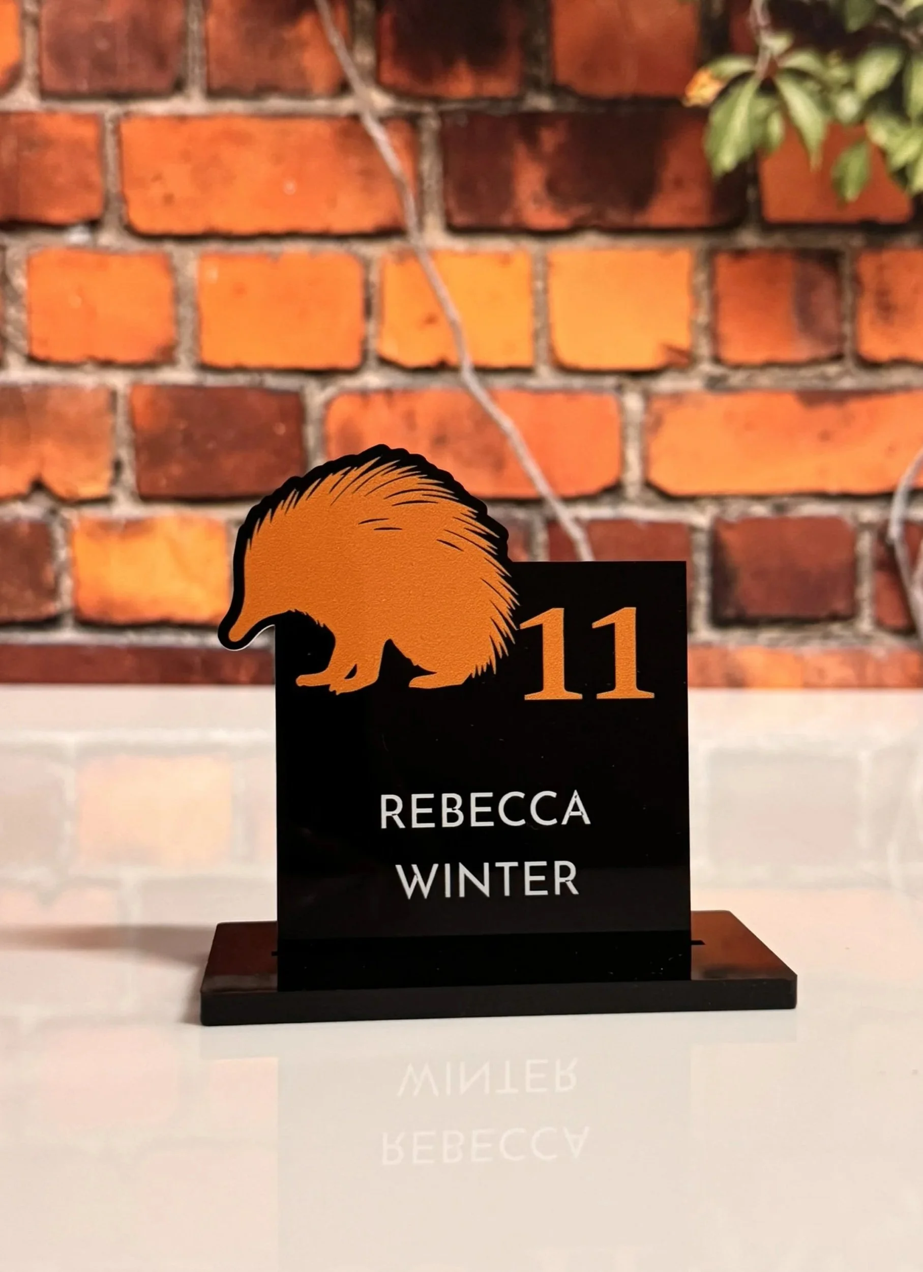 Custom echidna, Australian-themed escort card. 