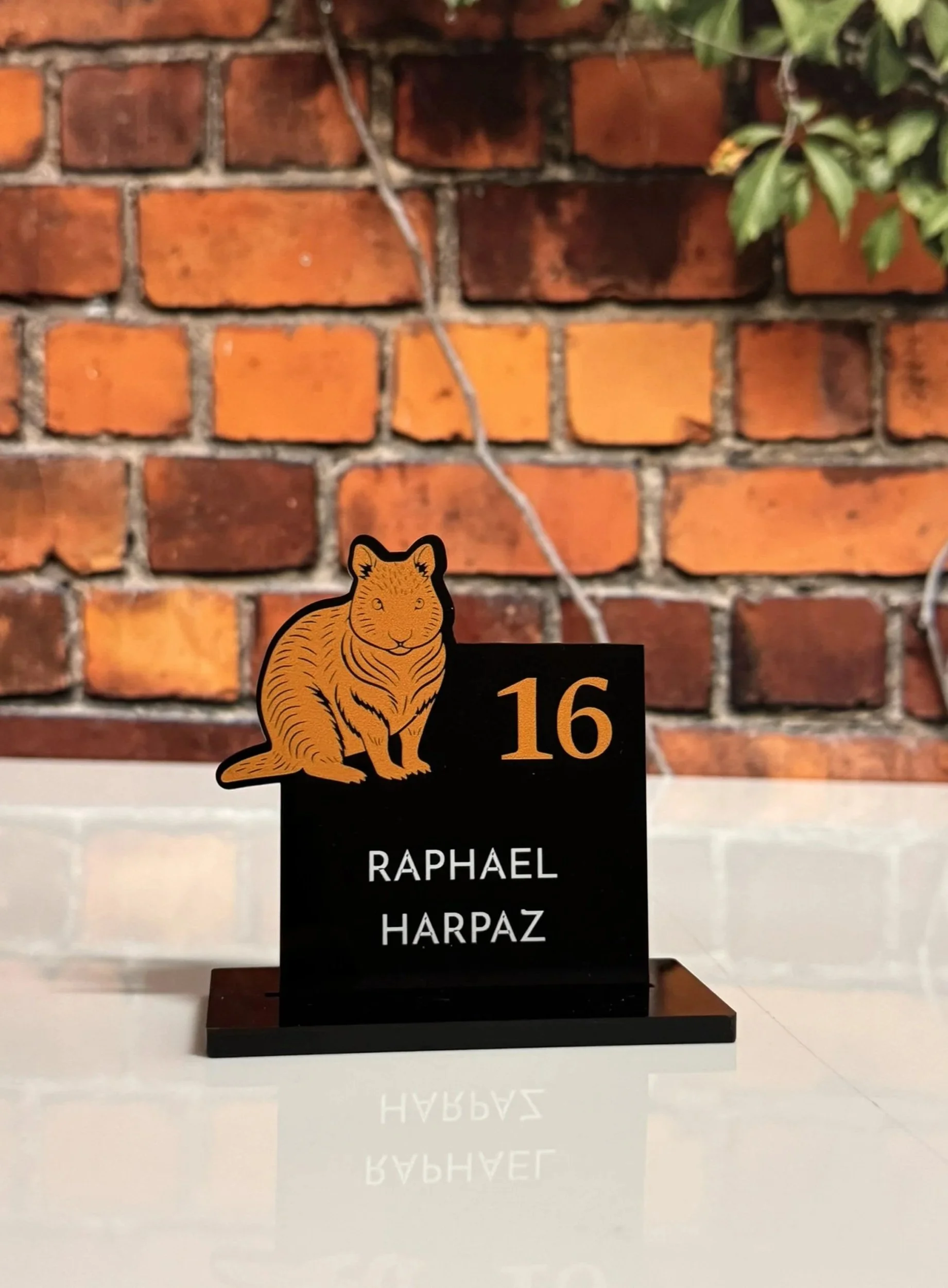 Custom wombat, Australian-themed escort card. 