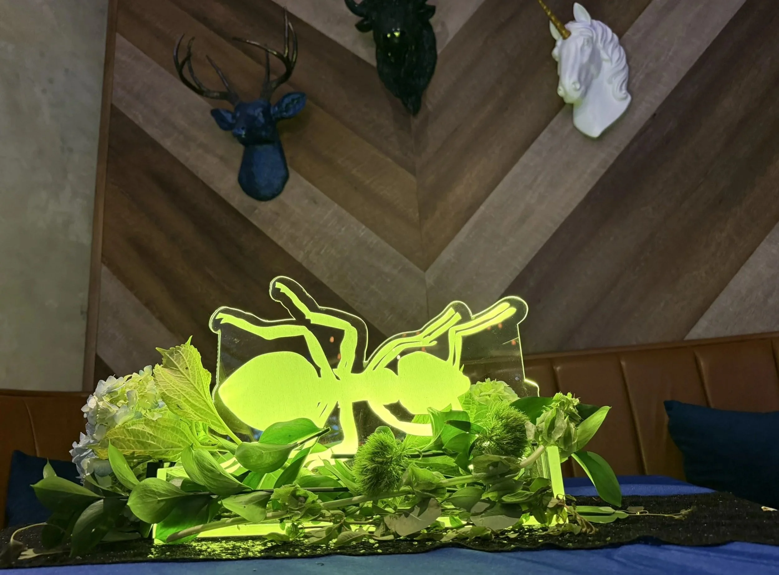 Large custom LED centerpiece of an ant. 