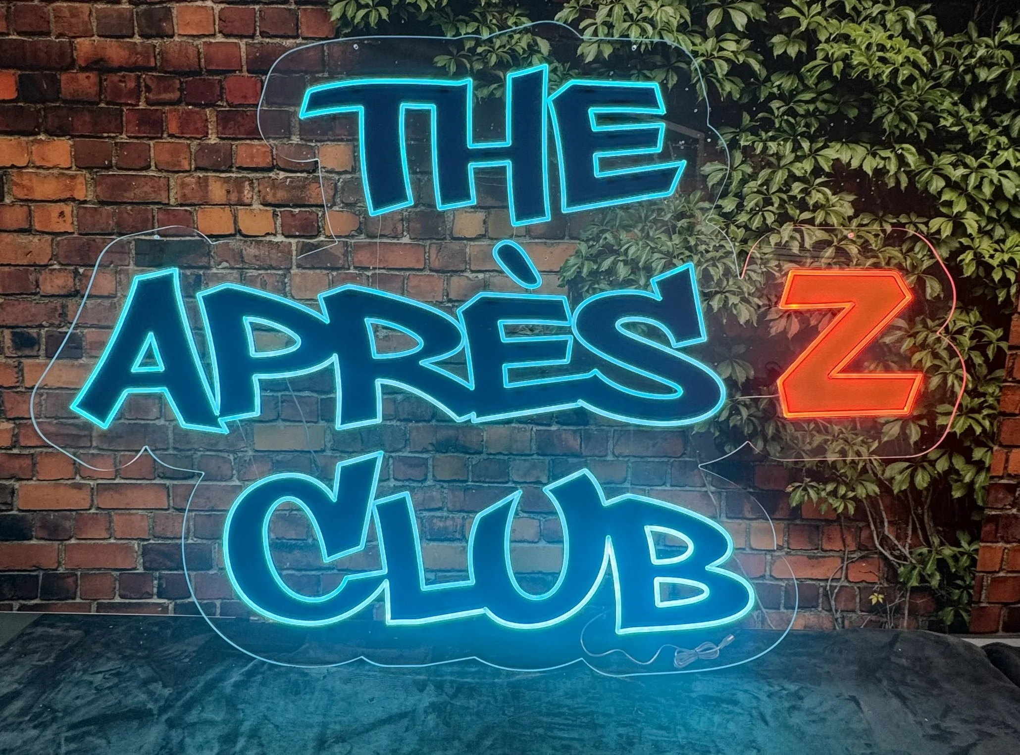 Ski Neon sign_Apres Z Club_Blue and red_Bar.JPEG