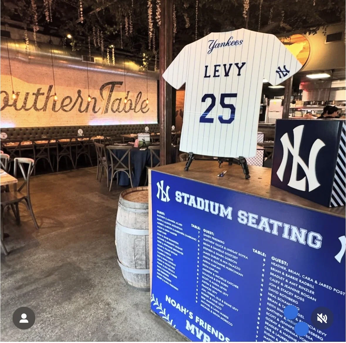 Yankees Baseball Jersey_Striped_Blue and White_Sports.JPEG