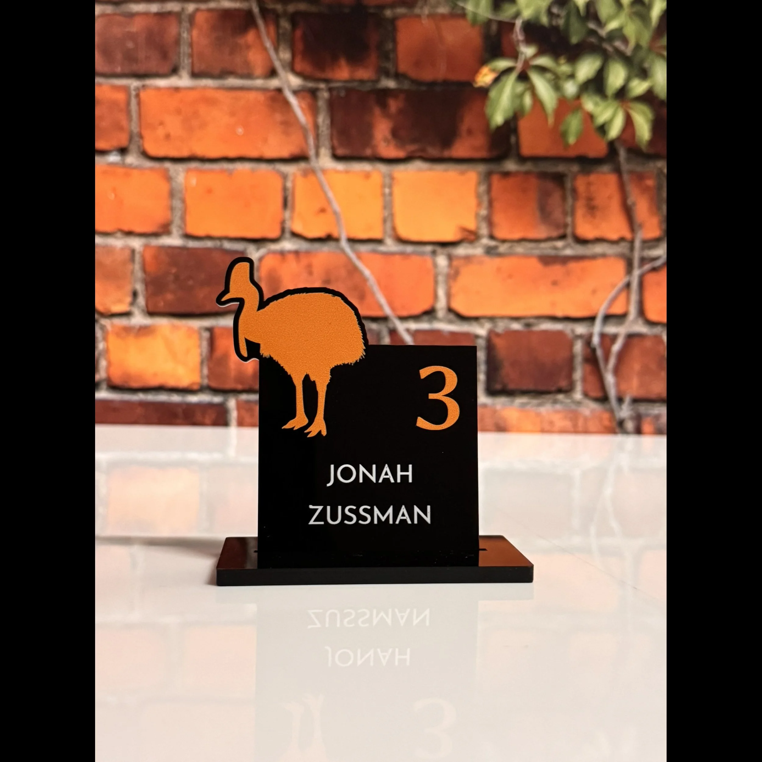 Aussie Cassowary Place Card.jpg