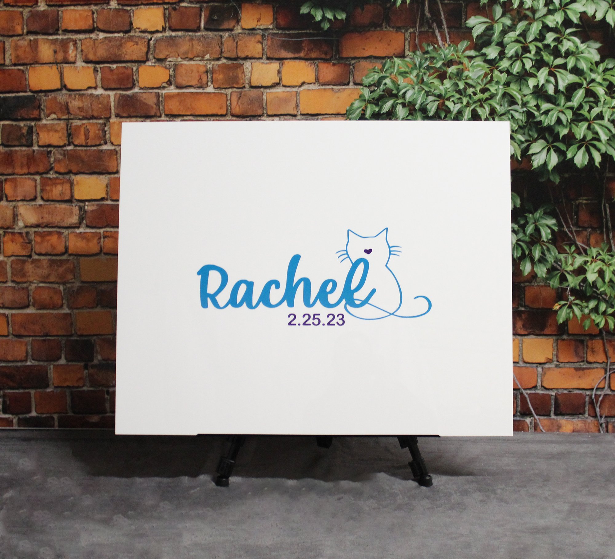Rachel Cat.jpg